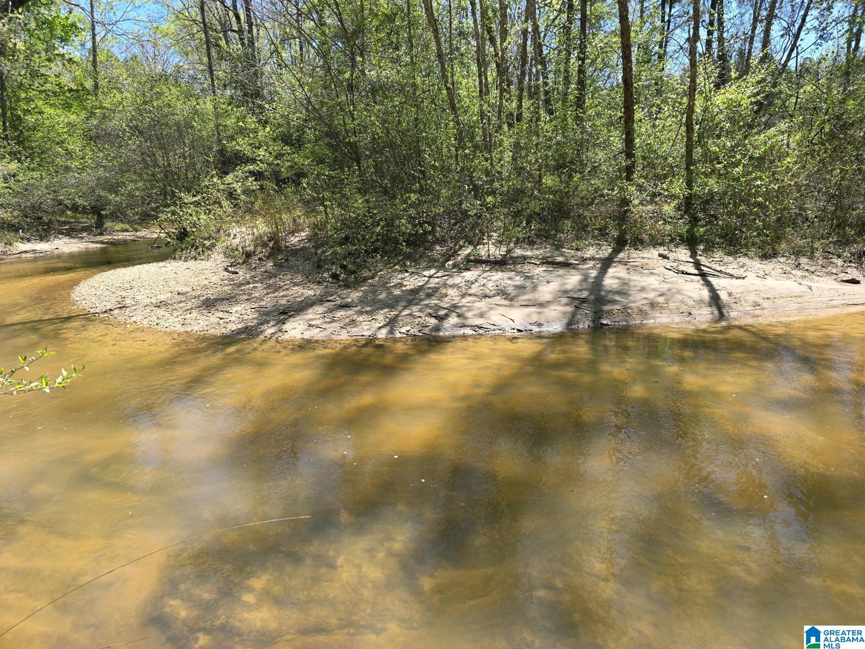 Homes for sale in Maplesville, AL | 0 Hwy 82, Maplesville, AL 36750 | MLS# 21381429