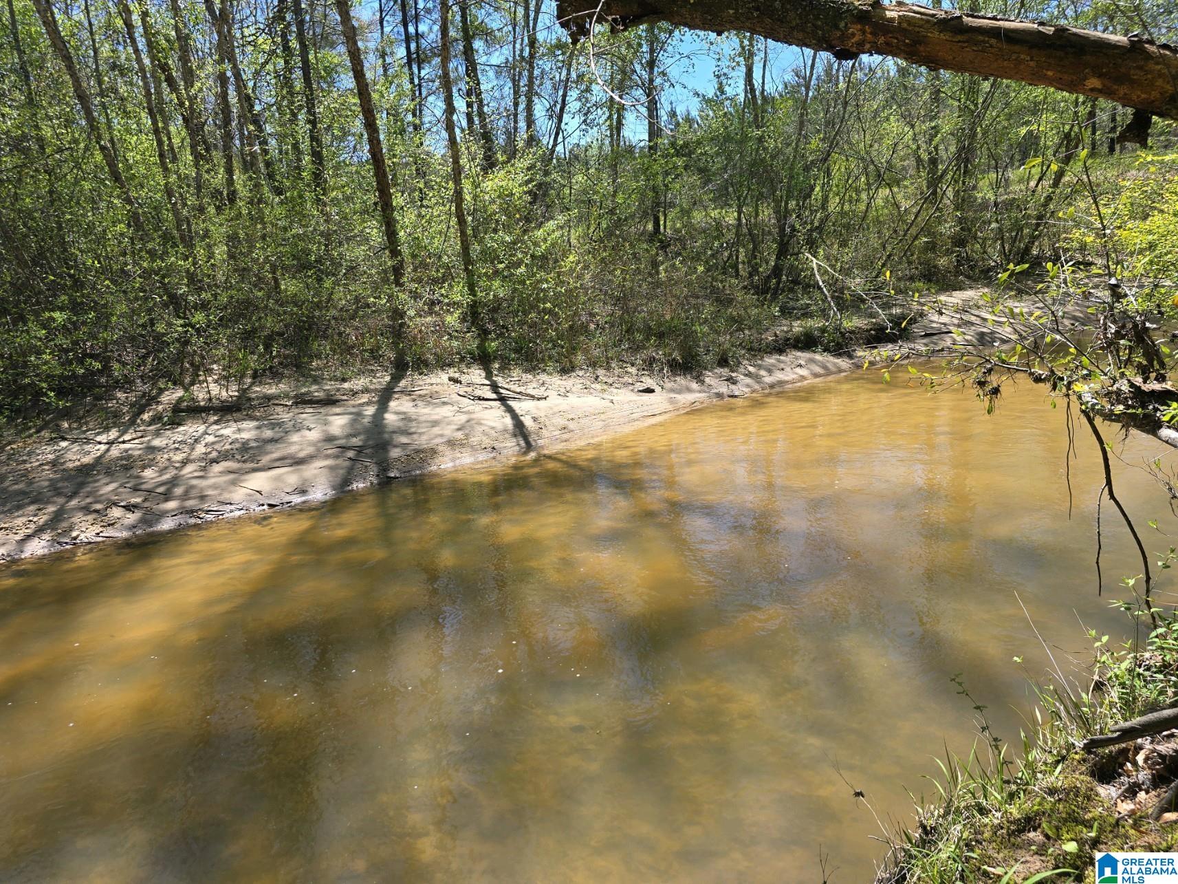 Homes for sale in Maplesville, AL | 0 Hwy 82, Maplesville, AL 36750 | MLS# 21381429