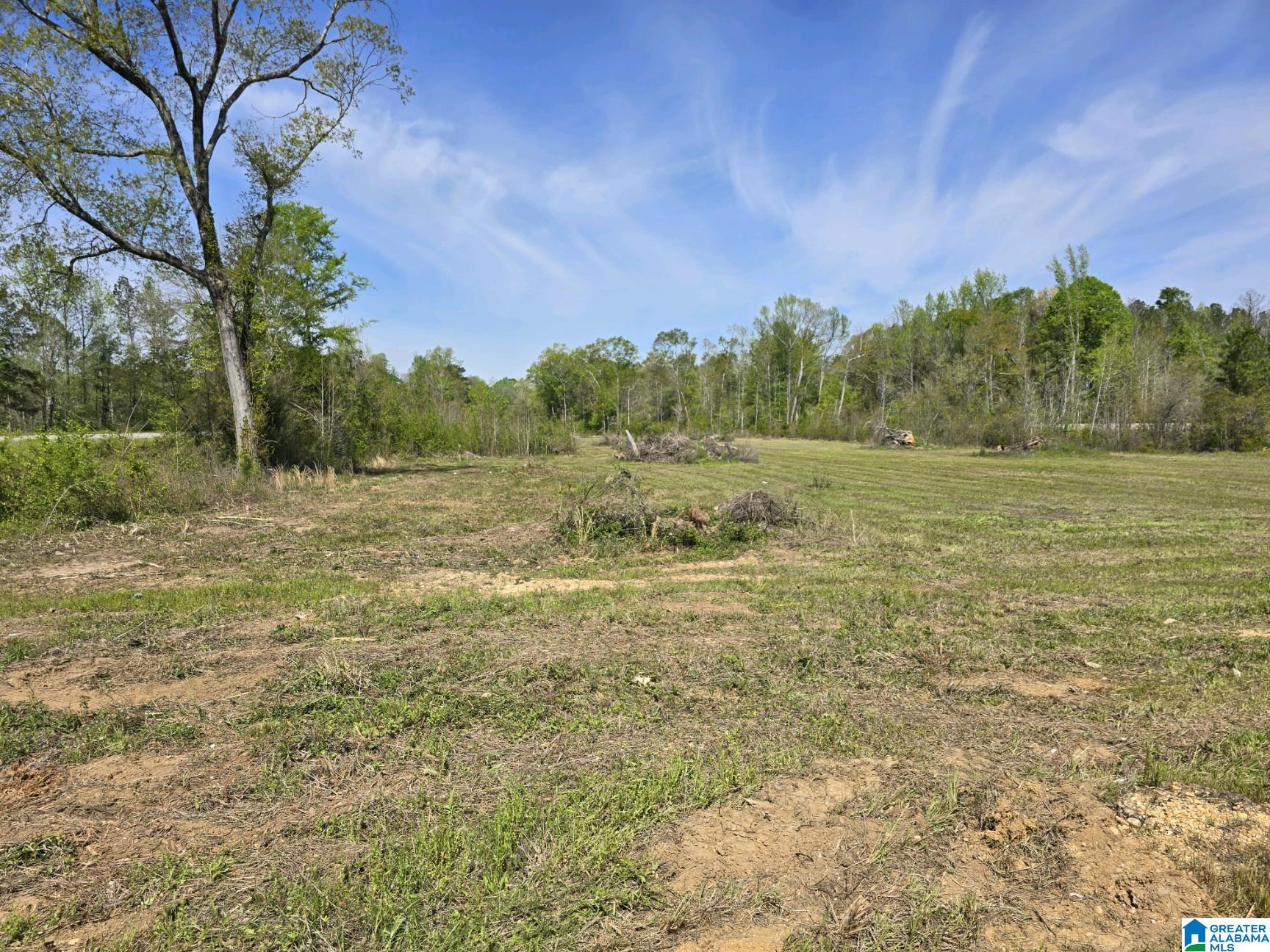 Homes for sale in Maplesville, AL | 0 Hwy 82, Maplesville, AL 36750 | MLS# 21381429