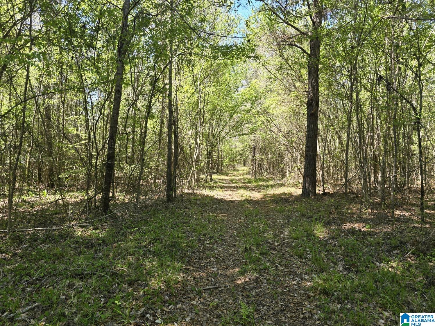 Homes for sale in Maplesville, AL | 0 Hwy 82, Maplesville, AL 36750 | MLS# 21381429