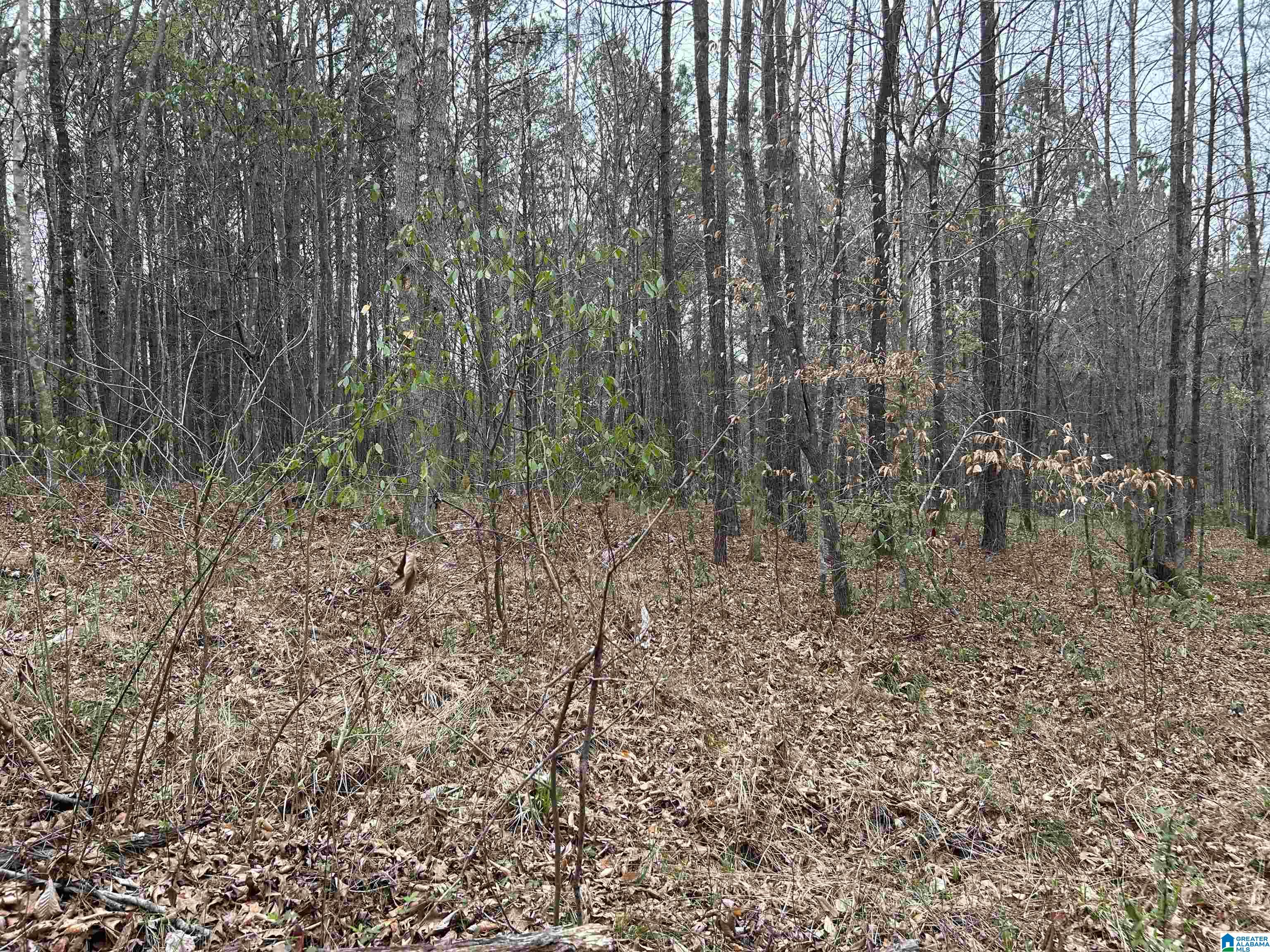 Lot 16 Turkey Bend Drive #16, HOUSTON, Alabama image 9