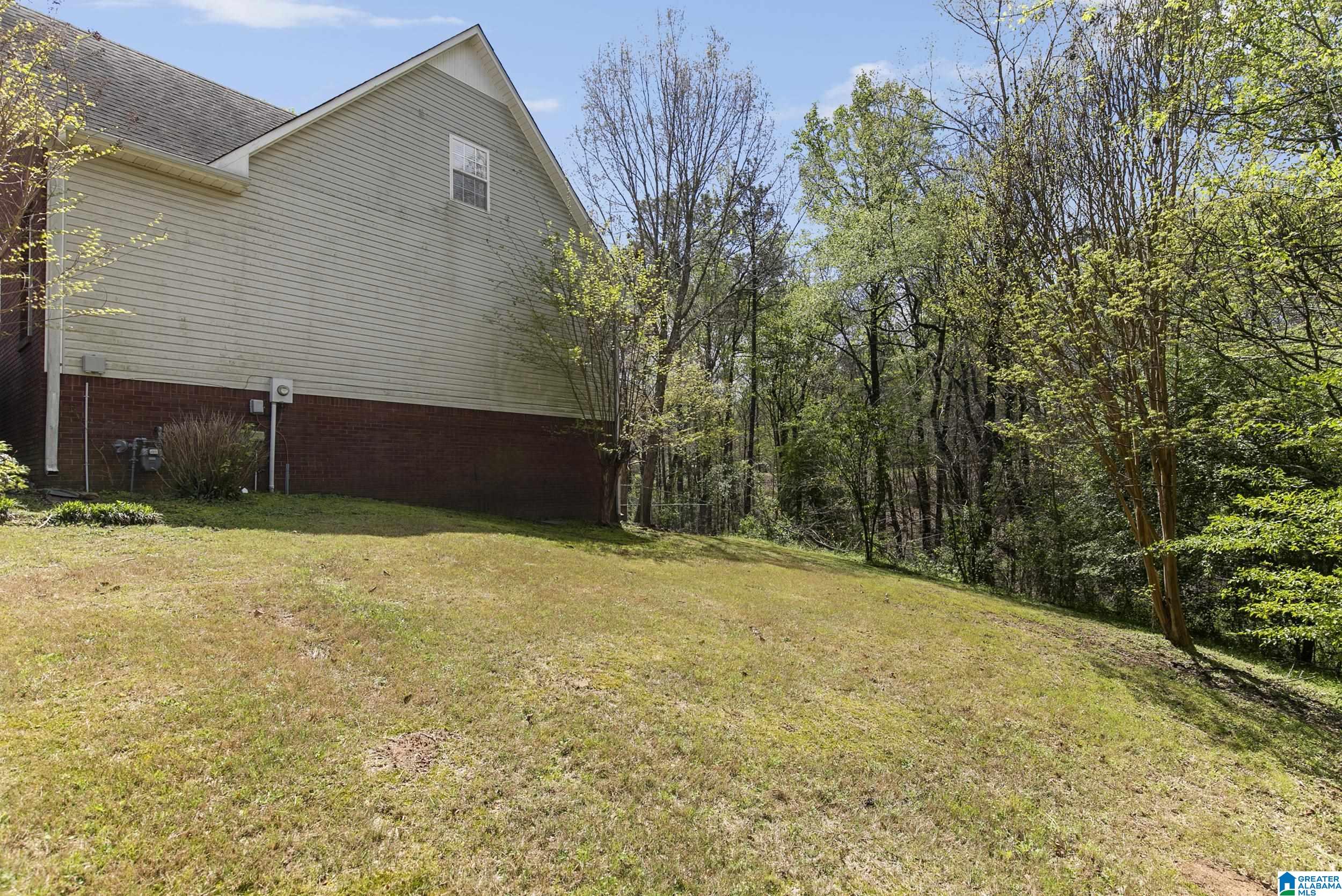 6200 Dorsett Woods Drive, MOUNT OLIVE, Alabama image 38