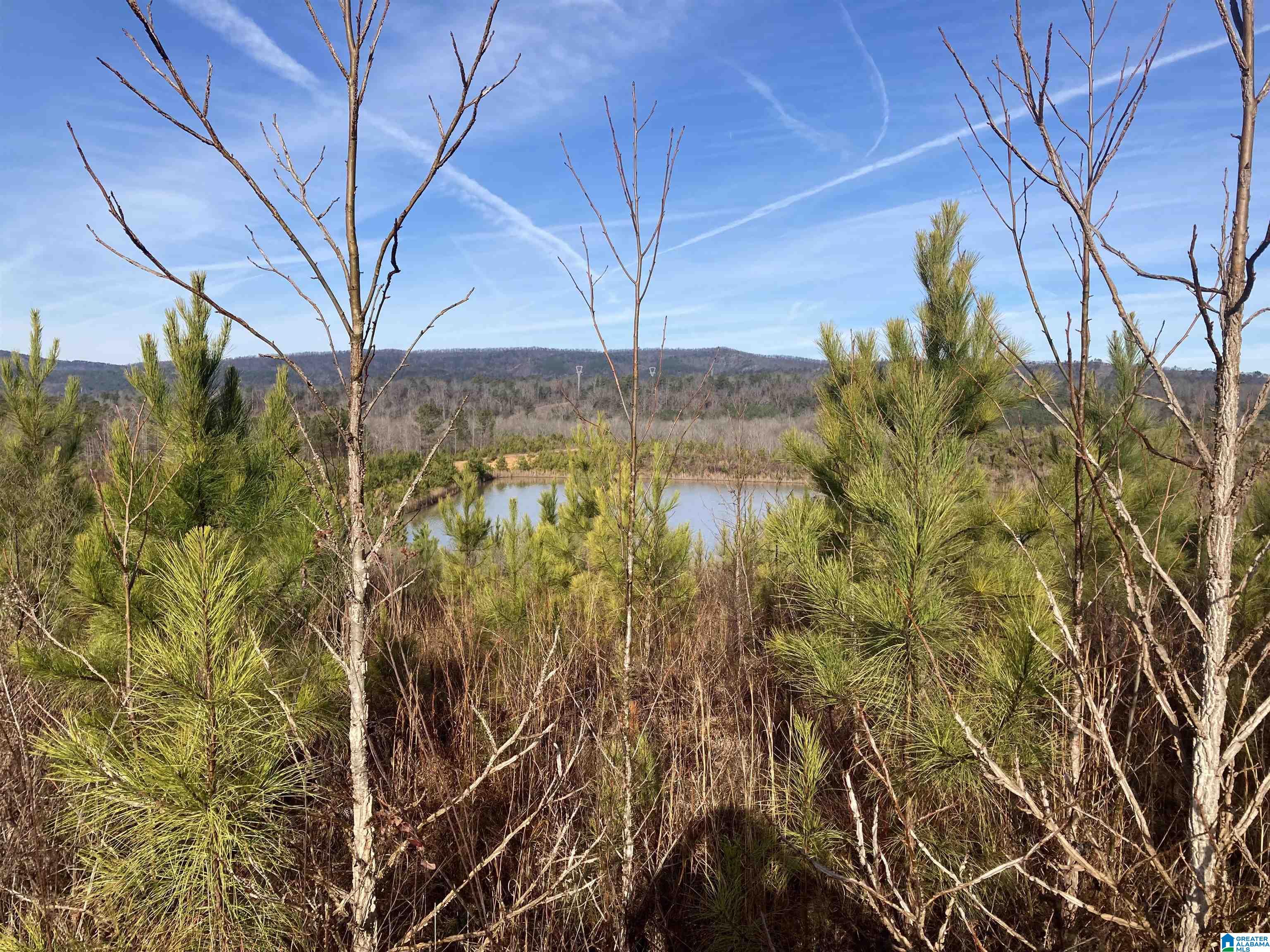 Homes for sale in Westover, AL | 13699 Hwy 55, Westover, AL 35186 | MLS# 21382044