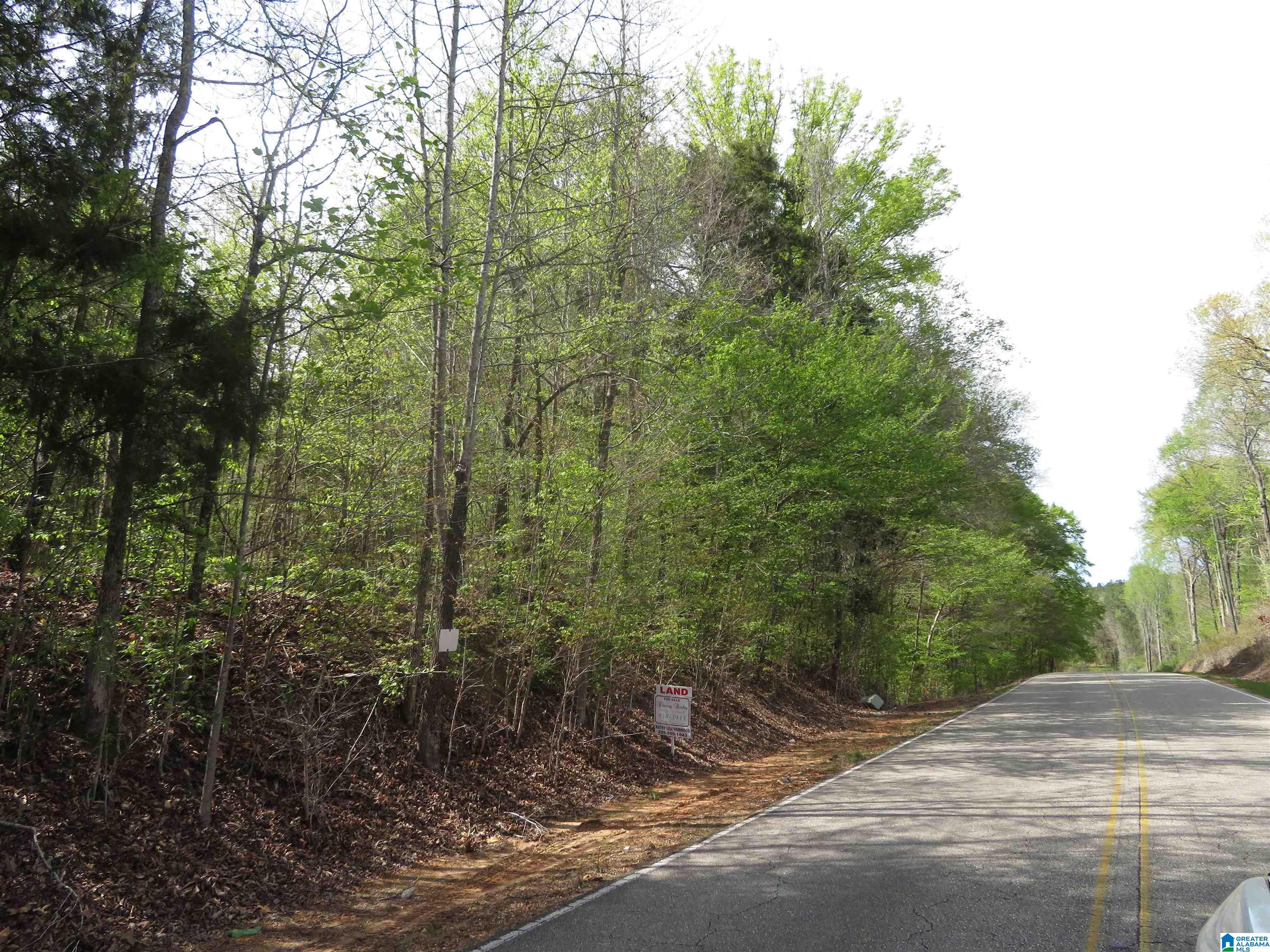 Riverbend Road #ACREAGE, CENTREVILLE, Alabama image 7