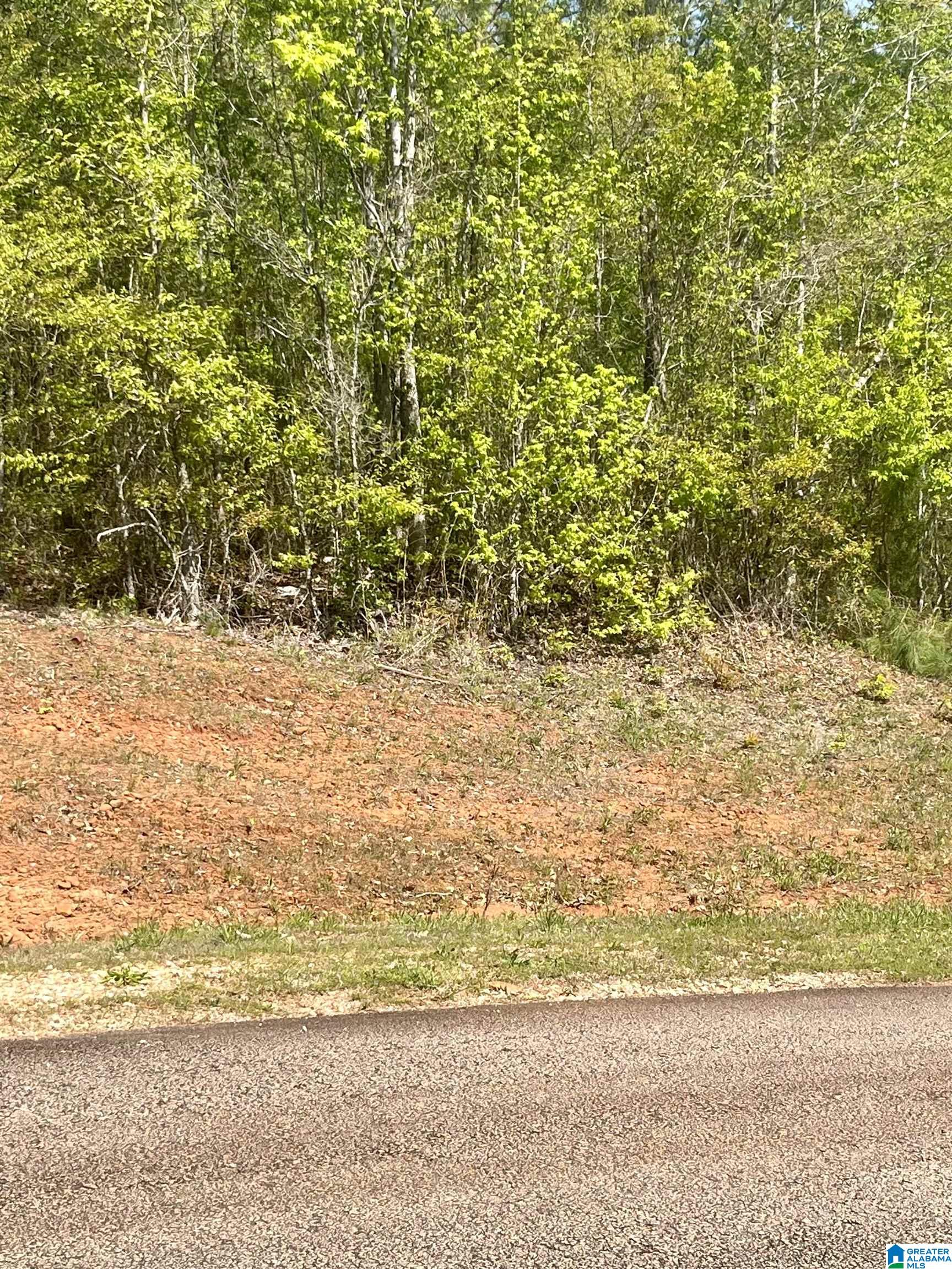 Lot 32 13th Court #LOT 32, LANETT, Alabama image 1