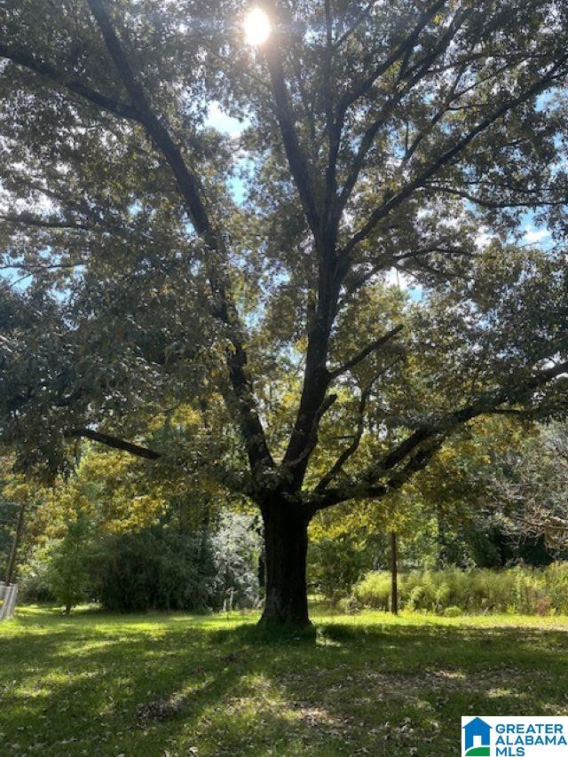 Homes for sale in Birmingham, AL | 2227 Harris Wright Dr, Birmingham, AL 35242 | MLS# 21382260