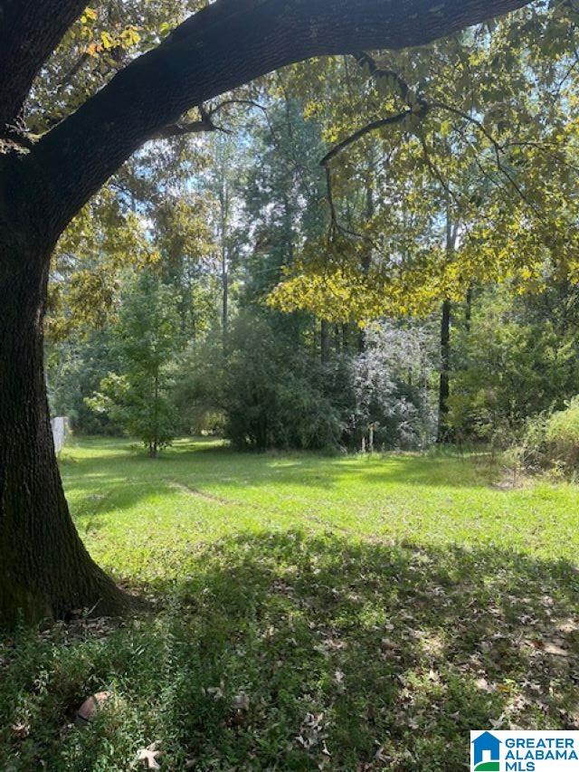 Homes for sale in Birmingham, AL | 2227 Harris Wright Dr, Birmingham, AL 35242 | MLS# 21382260