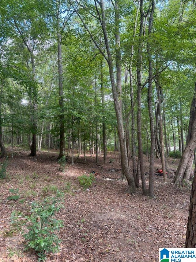 Homes for sale in Birmingham, AL | 2227 Harris Wright Dr, Birmingham, AL 35242 | MLS# 21382260