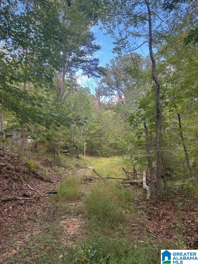 Homes for sale in Birmingham, AL | 2227 Harris Wright Dr, Birmingham, AL 35242 | MLS# 21382260