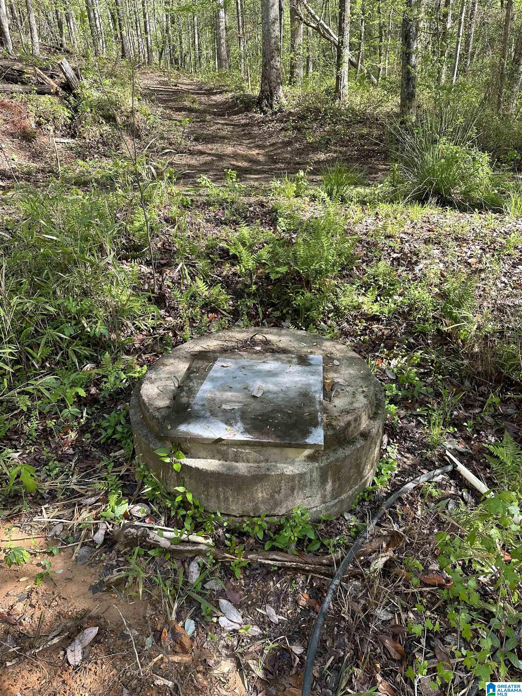 County Road 480 #1, WOODLAND, Alabama image 8