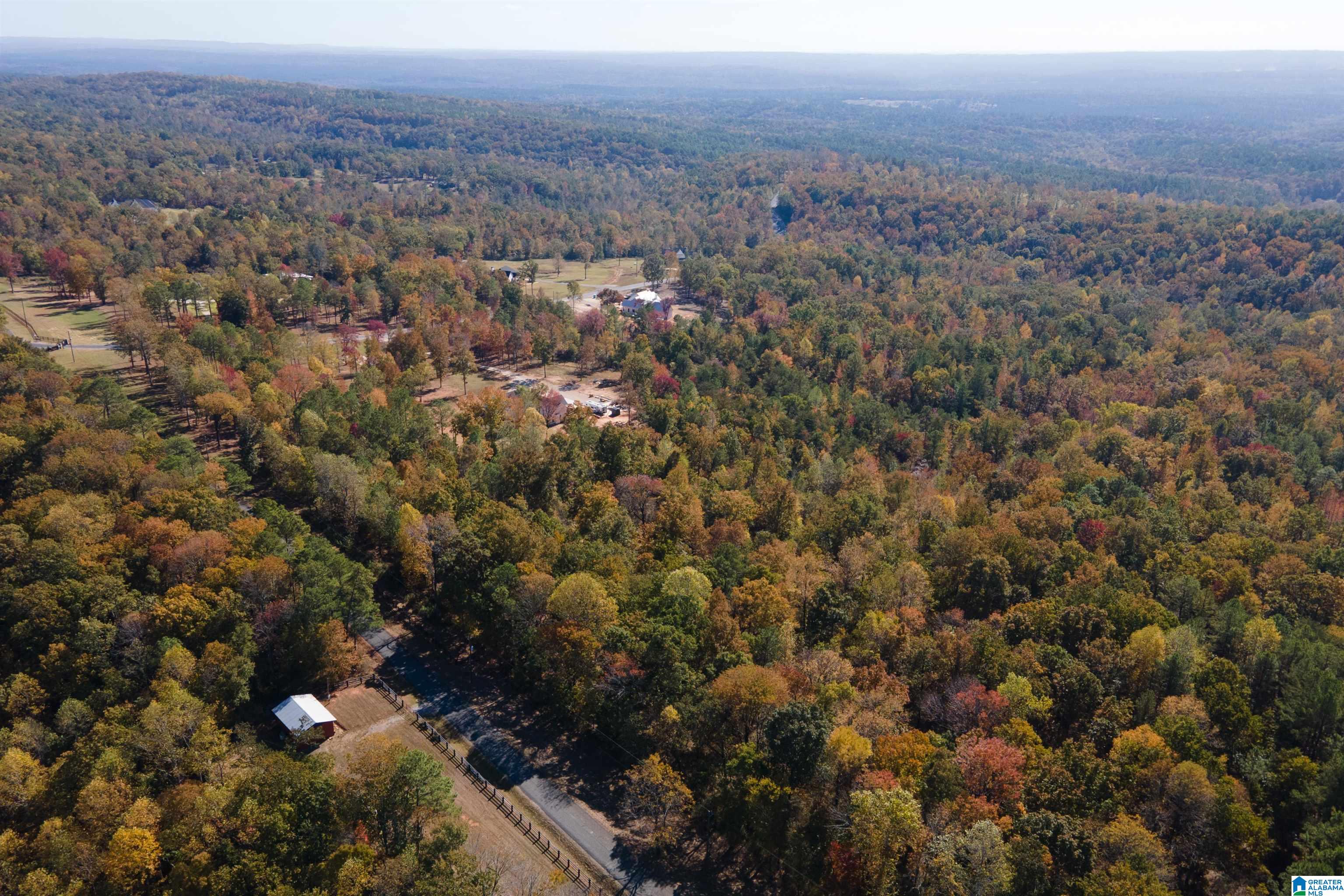 246 Spring Water Farms #2, HELENA, Alabama image 20