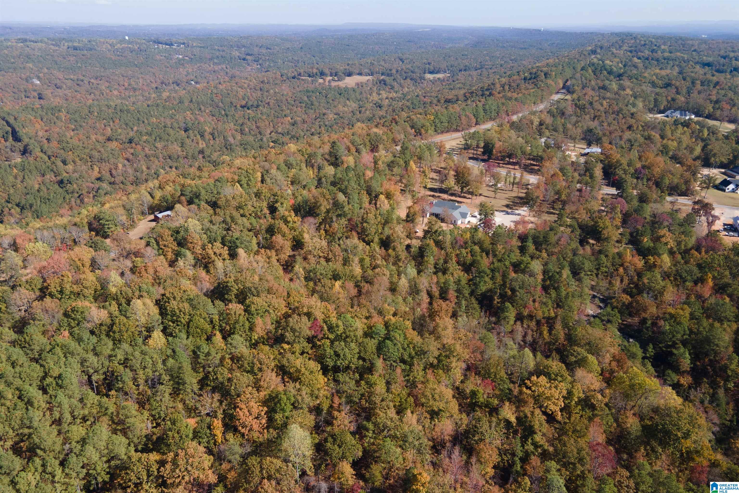 246 Spring Water Farms #2, HELENA, Alabama image 22