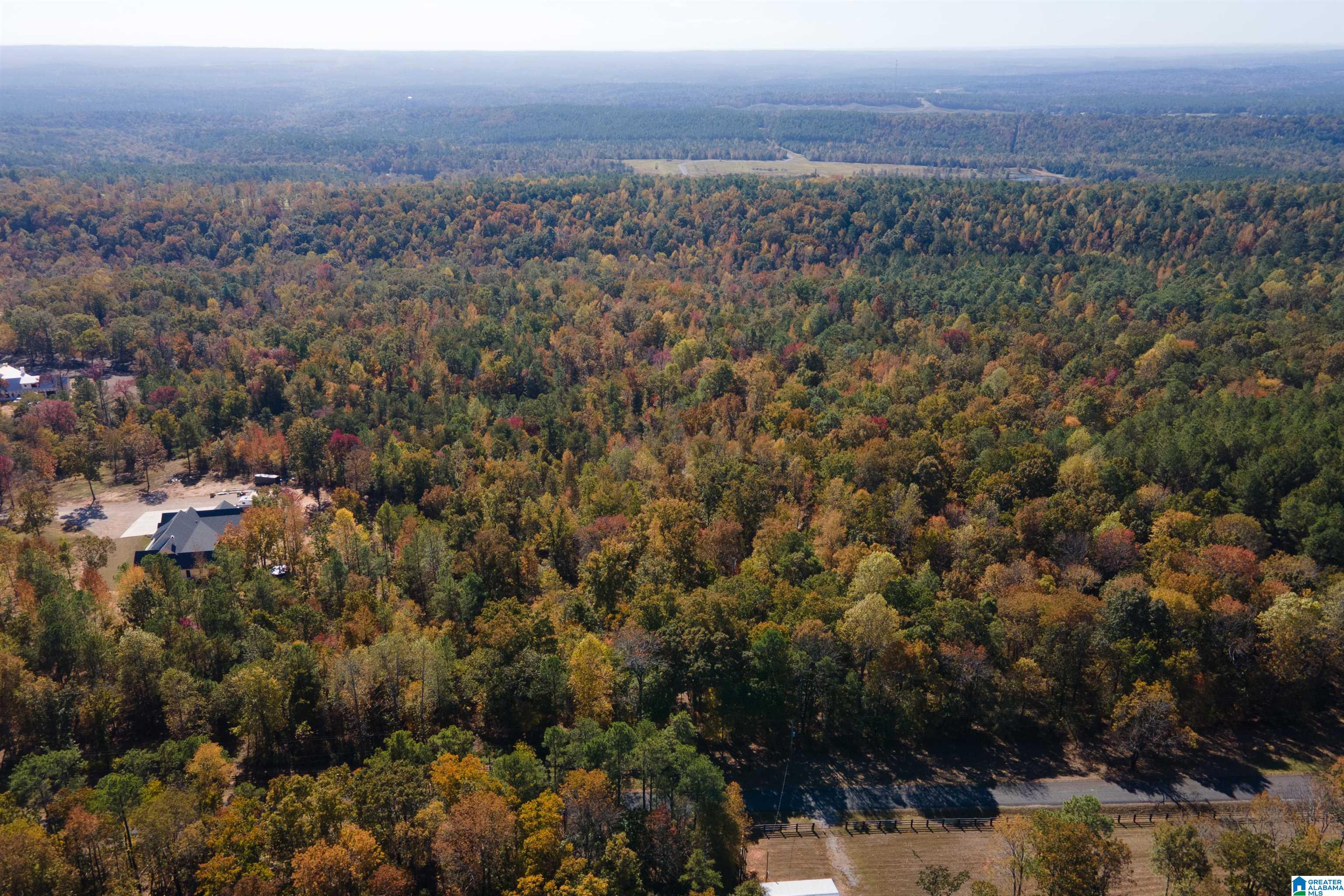 246 Spring Water Farms #2, HELENA, Alabama image 26