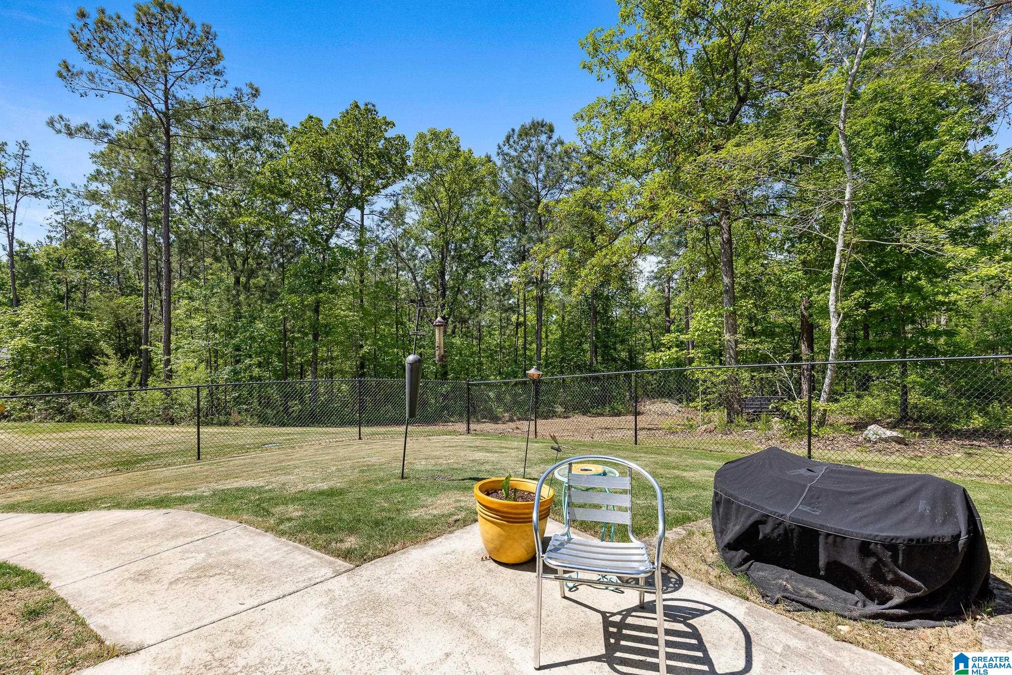 1058 Lakeview Crest Drive, PELL CITY, Alabama image 9