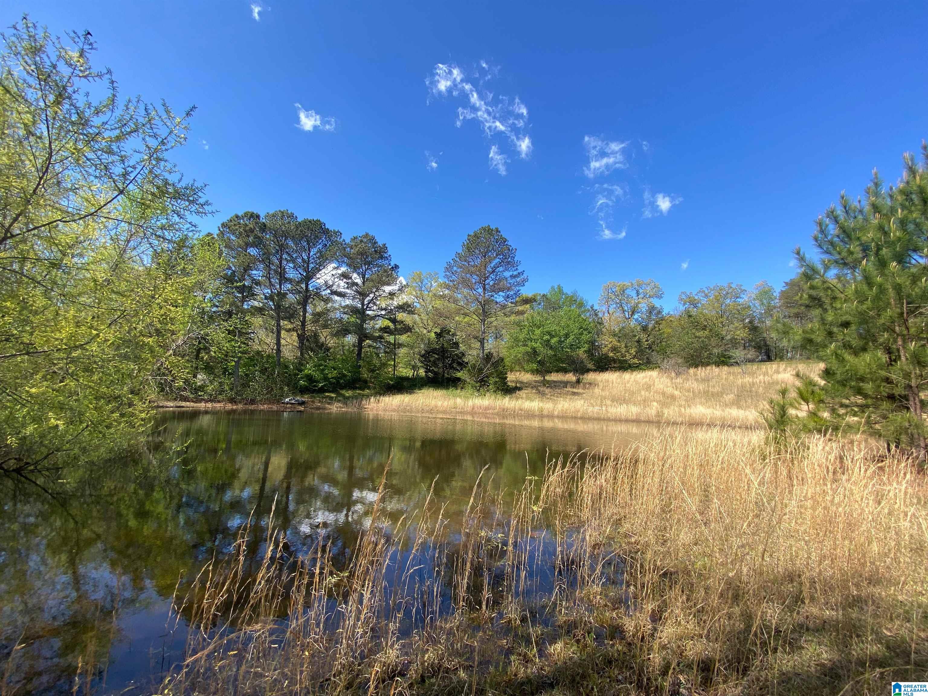 2590 LEVINE ROAD