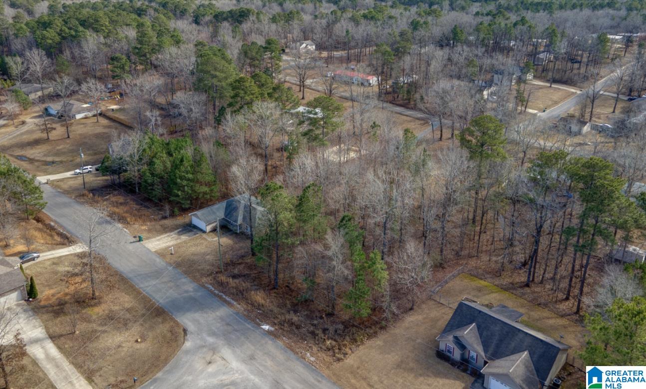 Homes for sale in Mc Calla, AL | 20379 Castle Ridge Road, Mc Calla, AL 35111 | MLS# 21383461