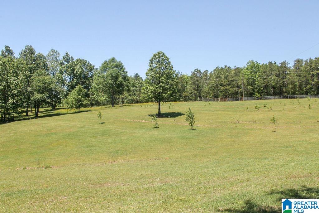 4940 County Road 32, CLANTON, Alabama image 37