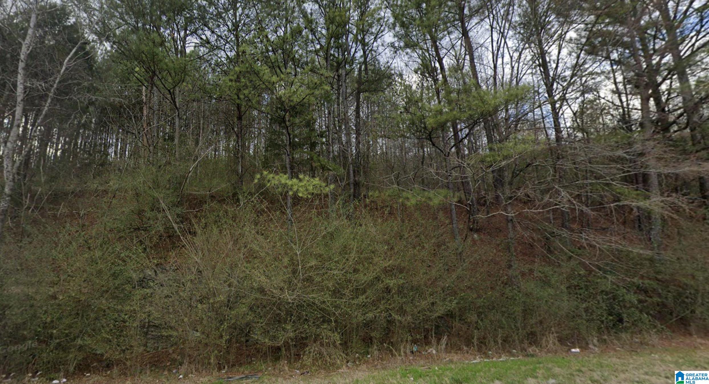 7060 Highway 79 #ACREAGE, PINSON, Alabama image 3