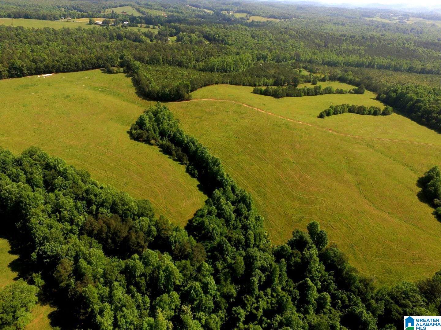 Oaks Chapel Road #76 ACRES, GOODWATER, Alabama image 1