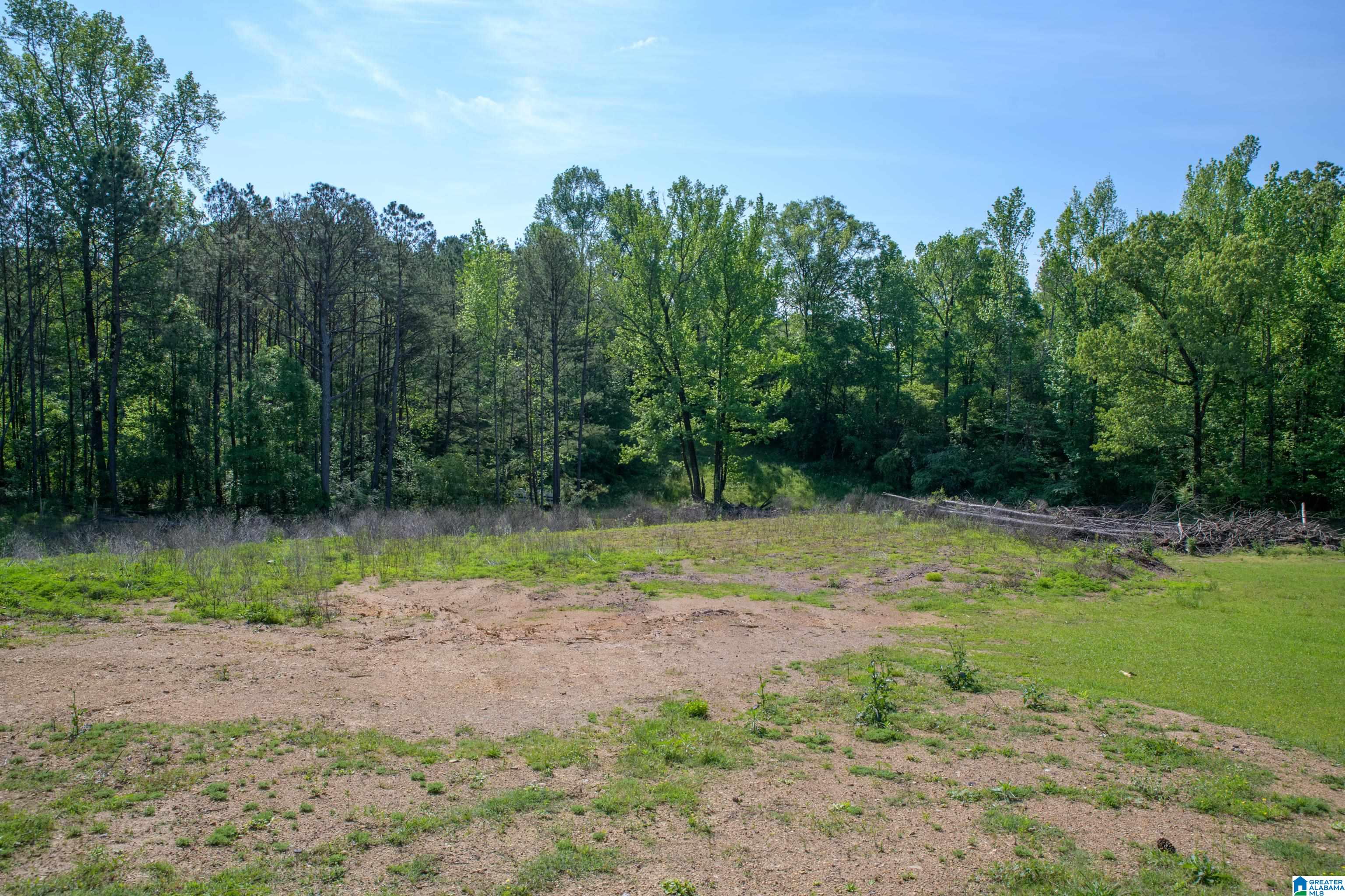 4240 Grimes Road, ADGER, Alabama image 28