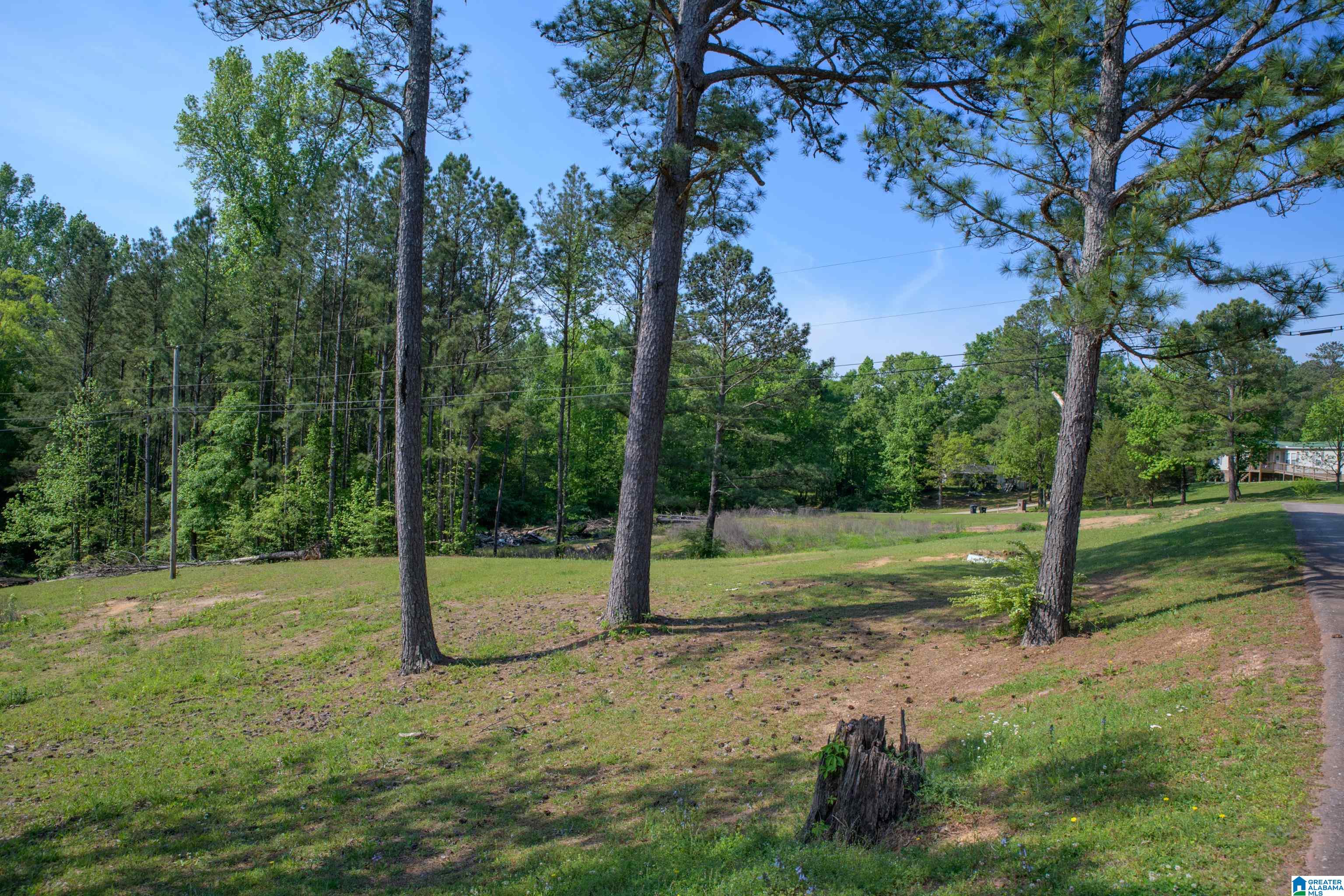 4240 Grimes Road, ADGER, Alabama image 35