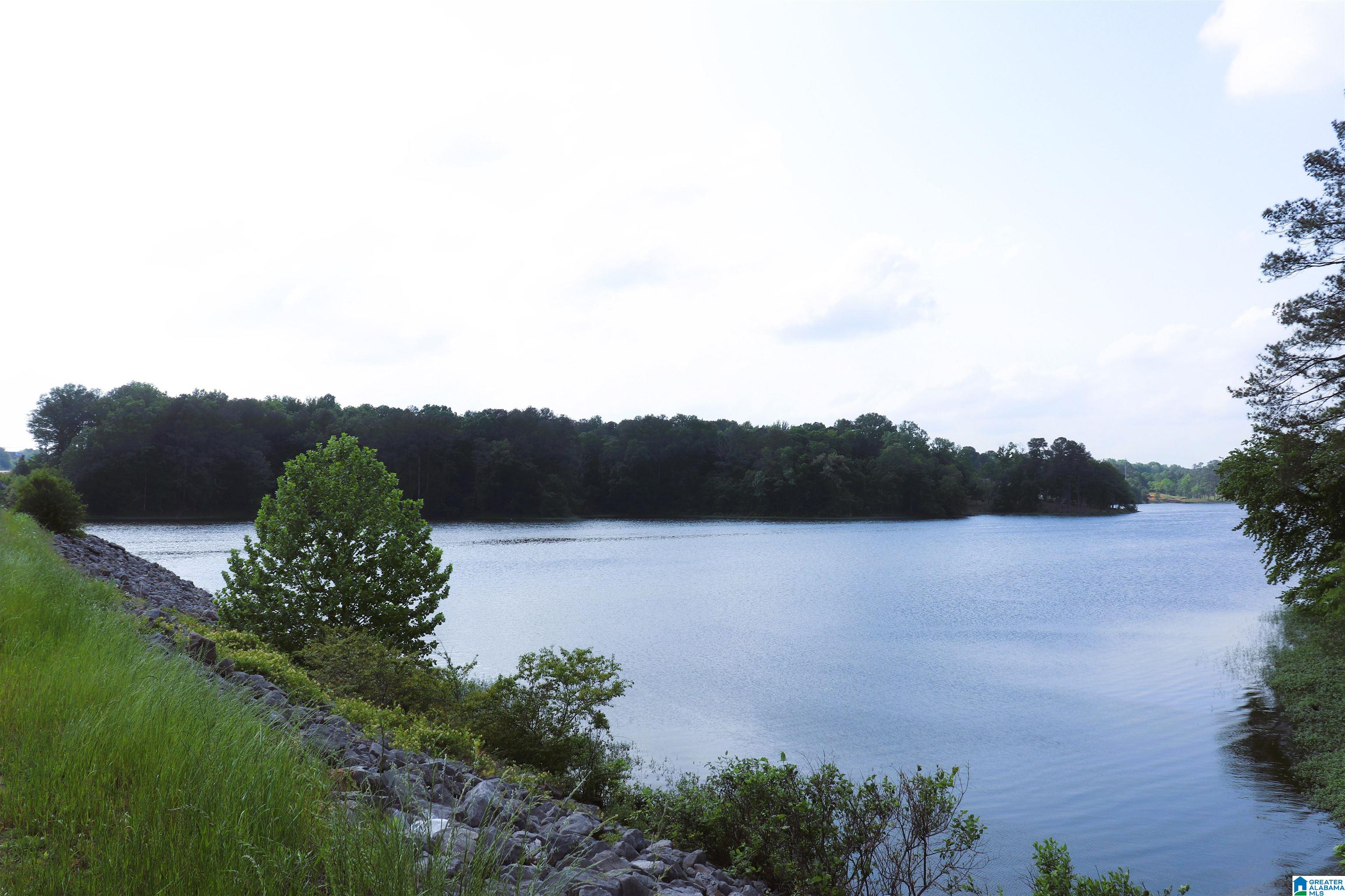 Sharpton Road, CULLMAN, Alabama image 1