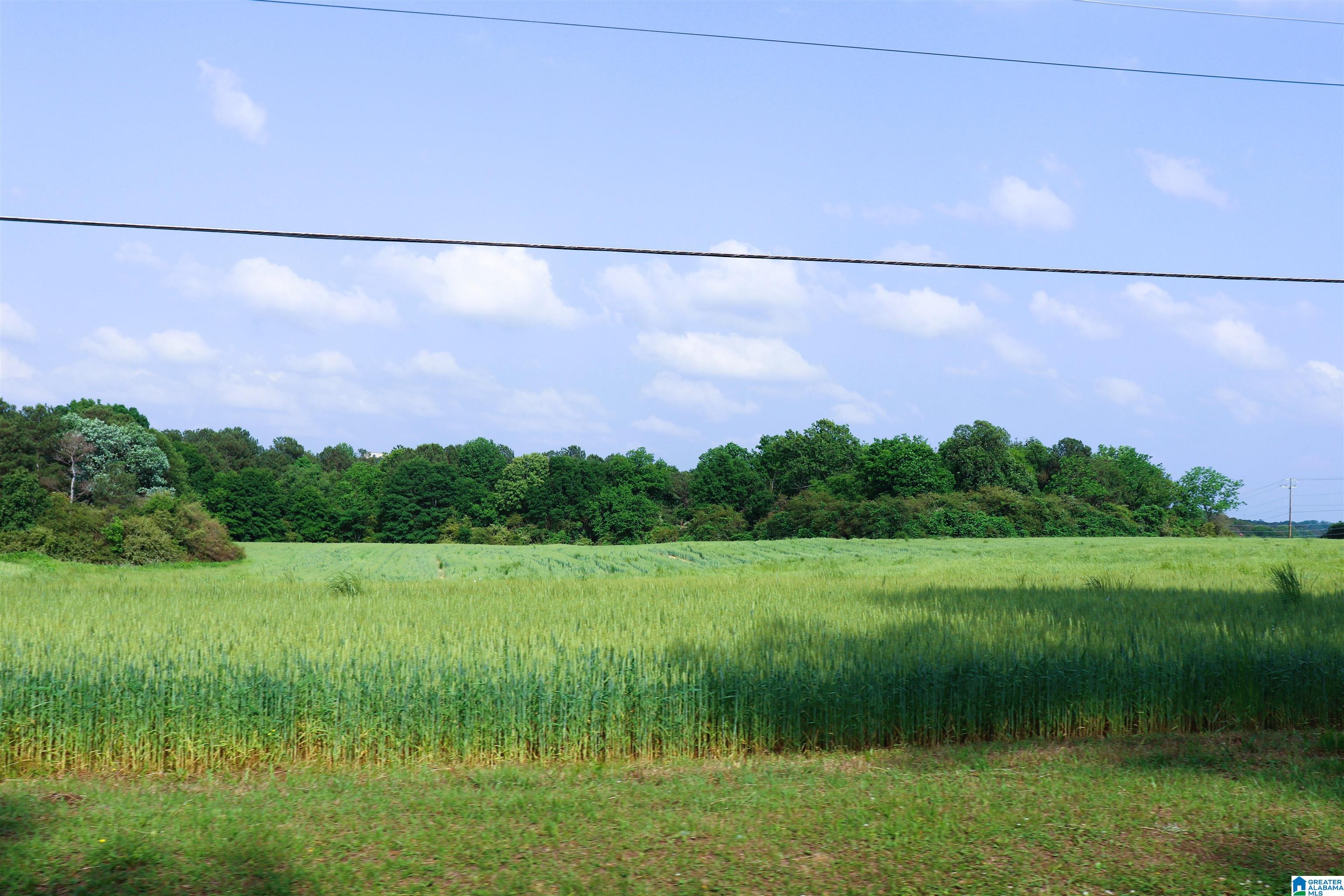 Sharpton Road, CULLMAN, Alabama image 15