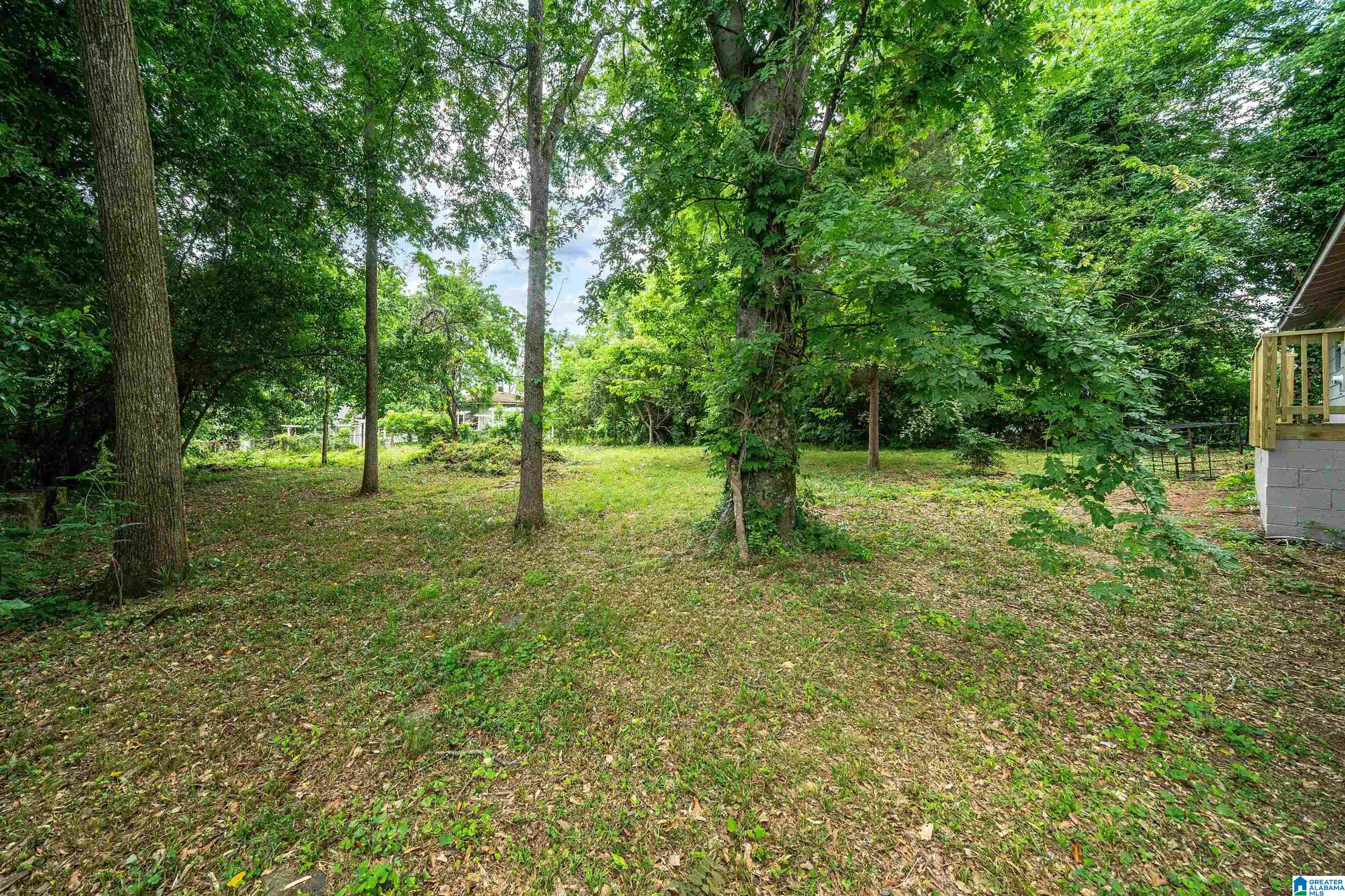 216 PINE TREE LANE