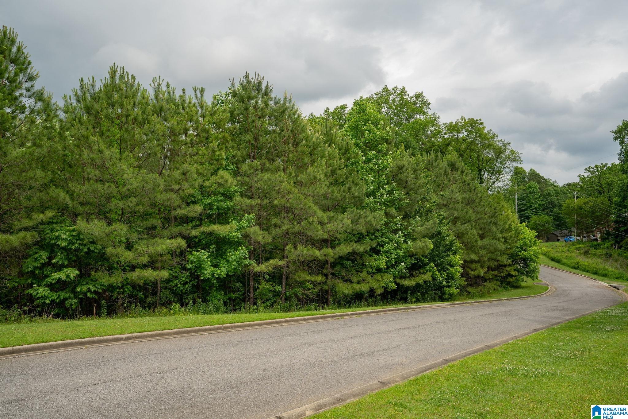 1616 Chateau Crest Lane #LOT 2, VESTAVIA HILLS, Alabama image 14