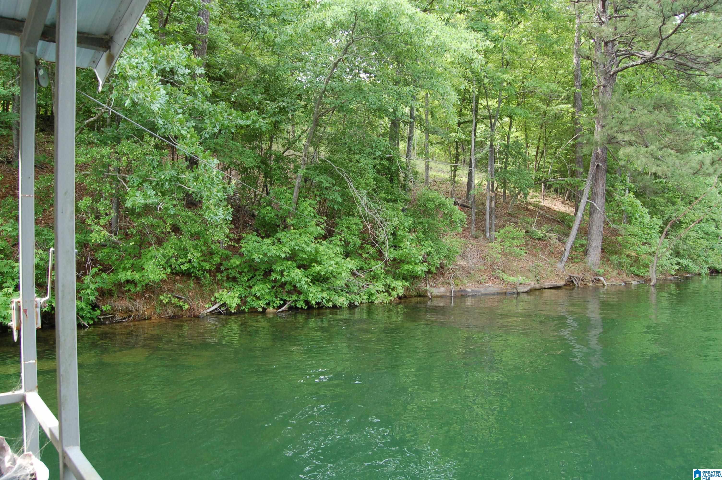 169 COUNTY ROAD 172 SW