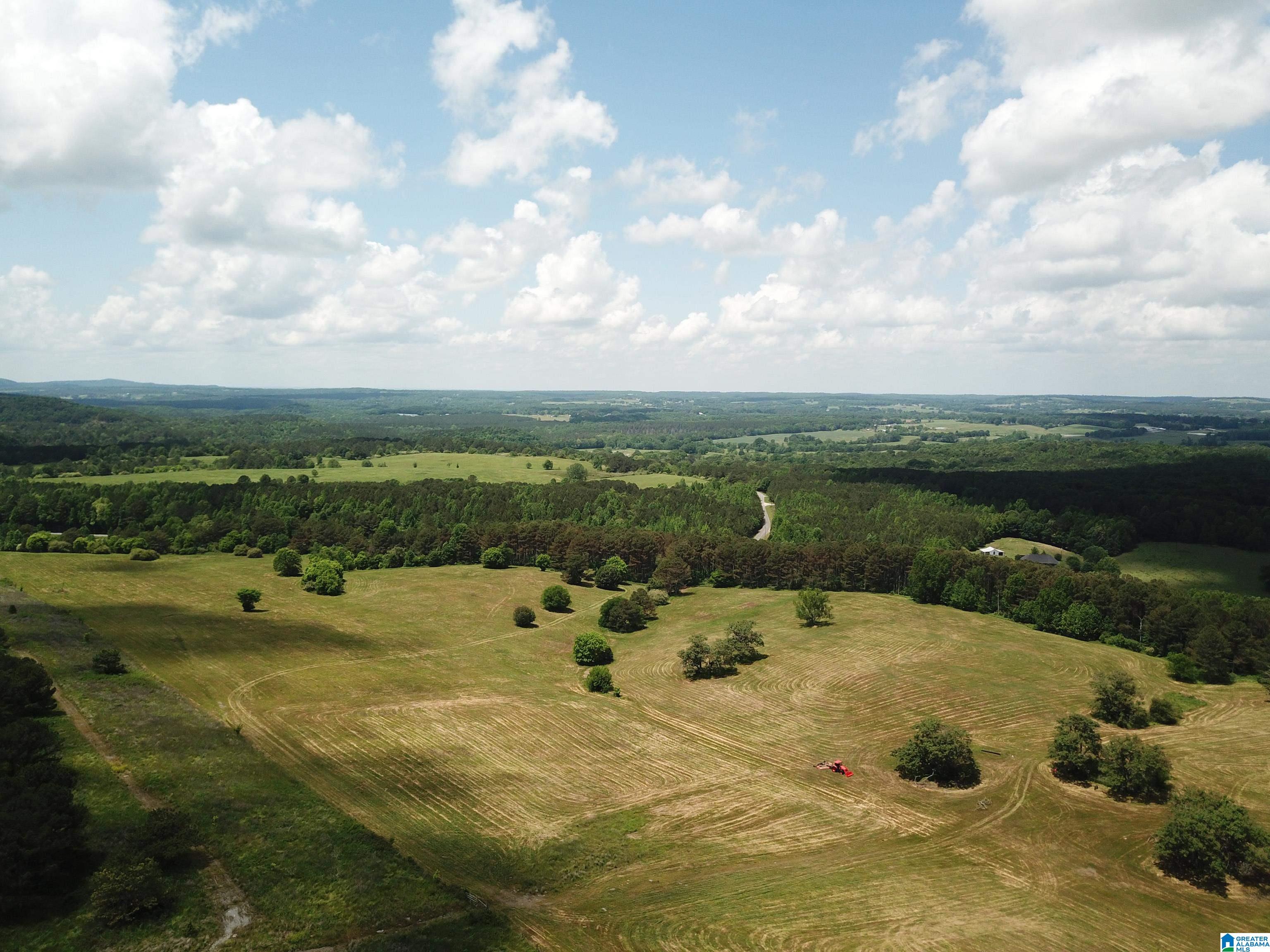 County Highway Highway 57, ONEONTA, Alabama image 24