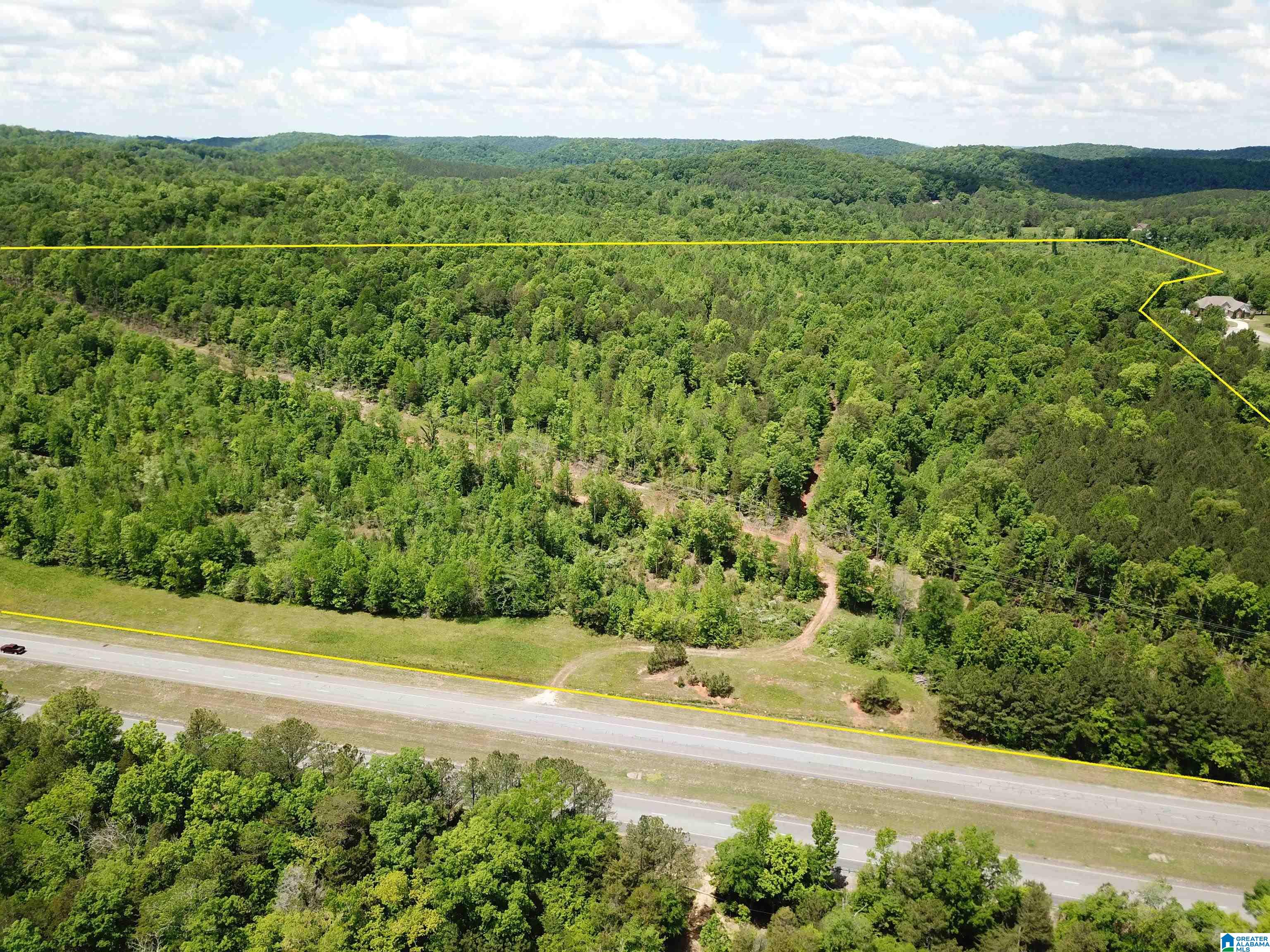 Lot #1 Highway 75 #1, ONEONTA, Alabama image 4