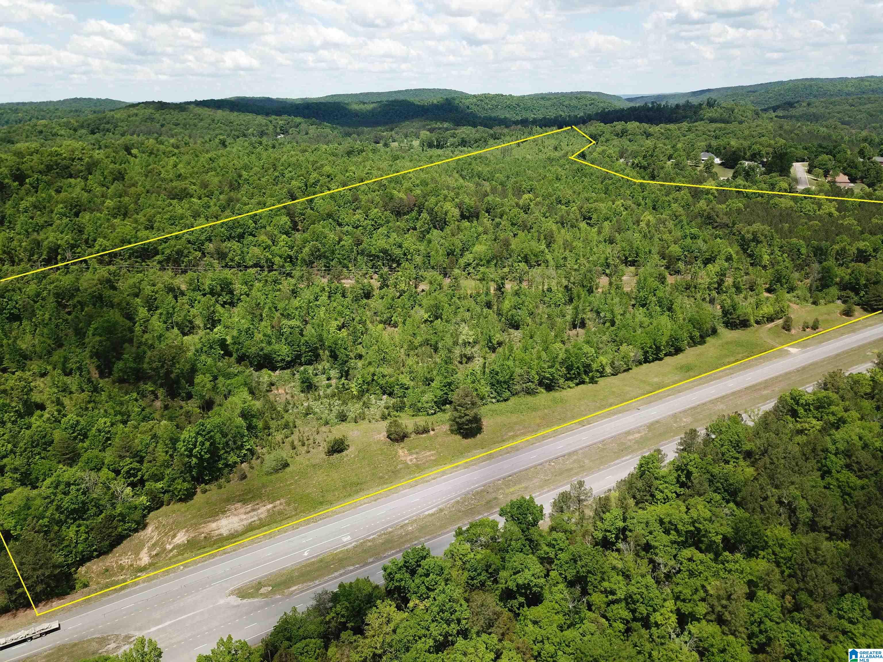 Lot #6 Highway 75 #1, ONEONTA, Alabama image 5