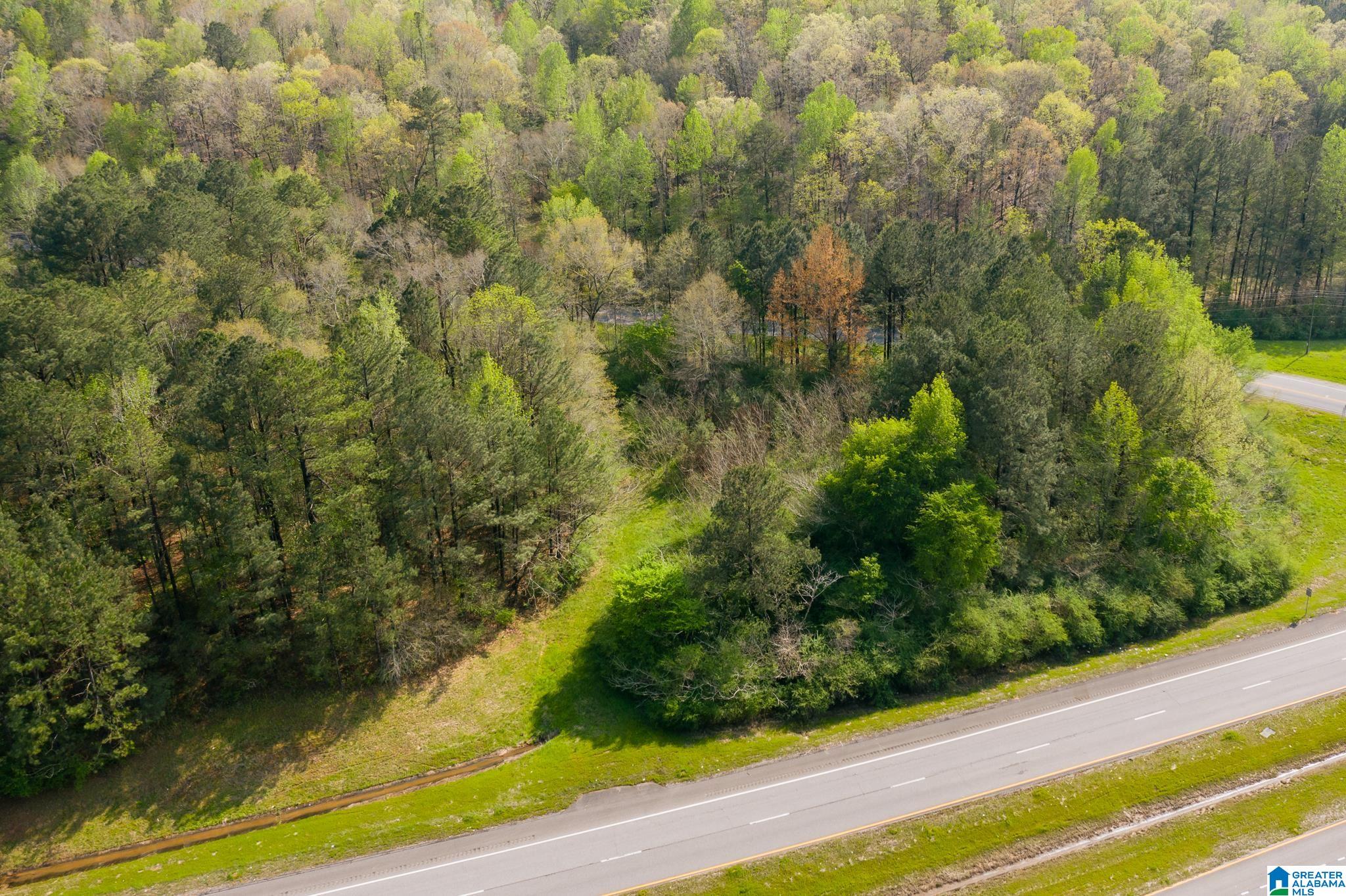 Highway 82, CENTREVILLE, Alabama image 7