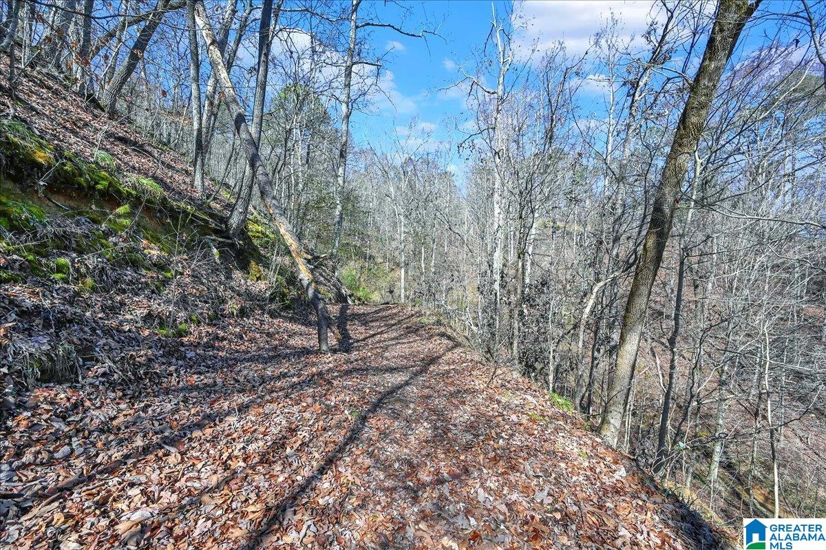 County Road 875 #23  24, CRANE HILL, Alabama image 3