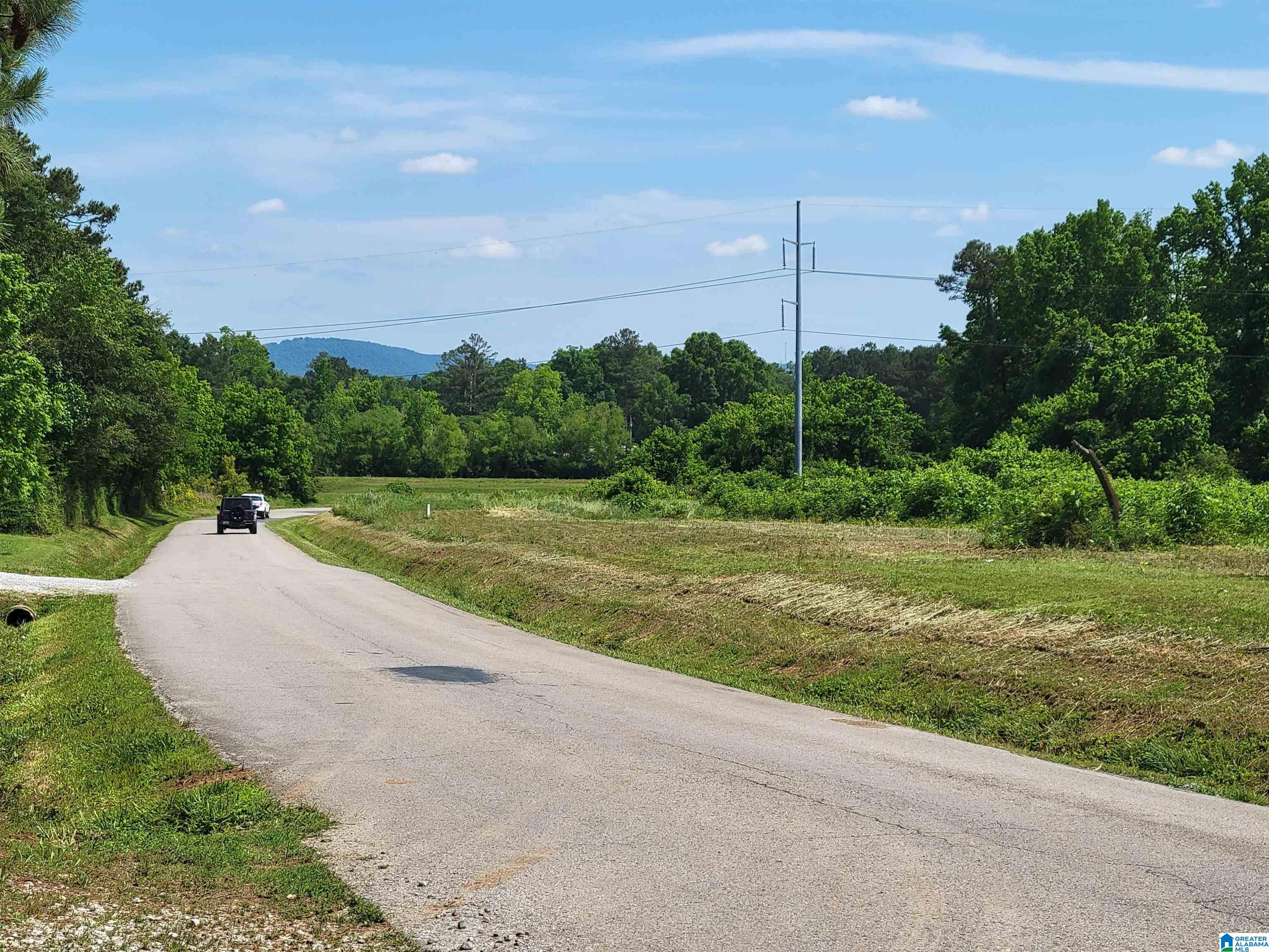 Hopewell Road, HANCEVILLE, Alabama image 4