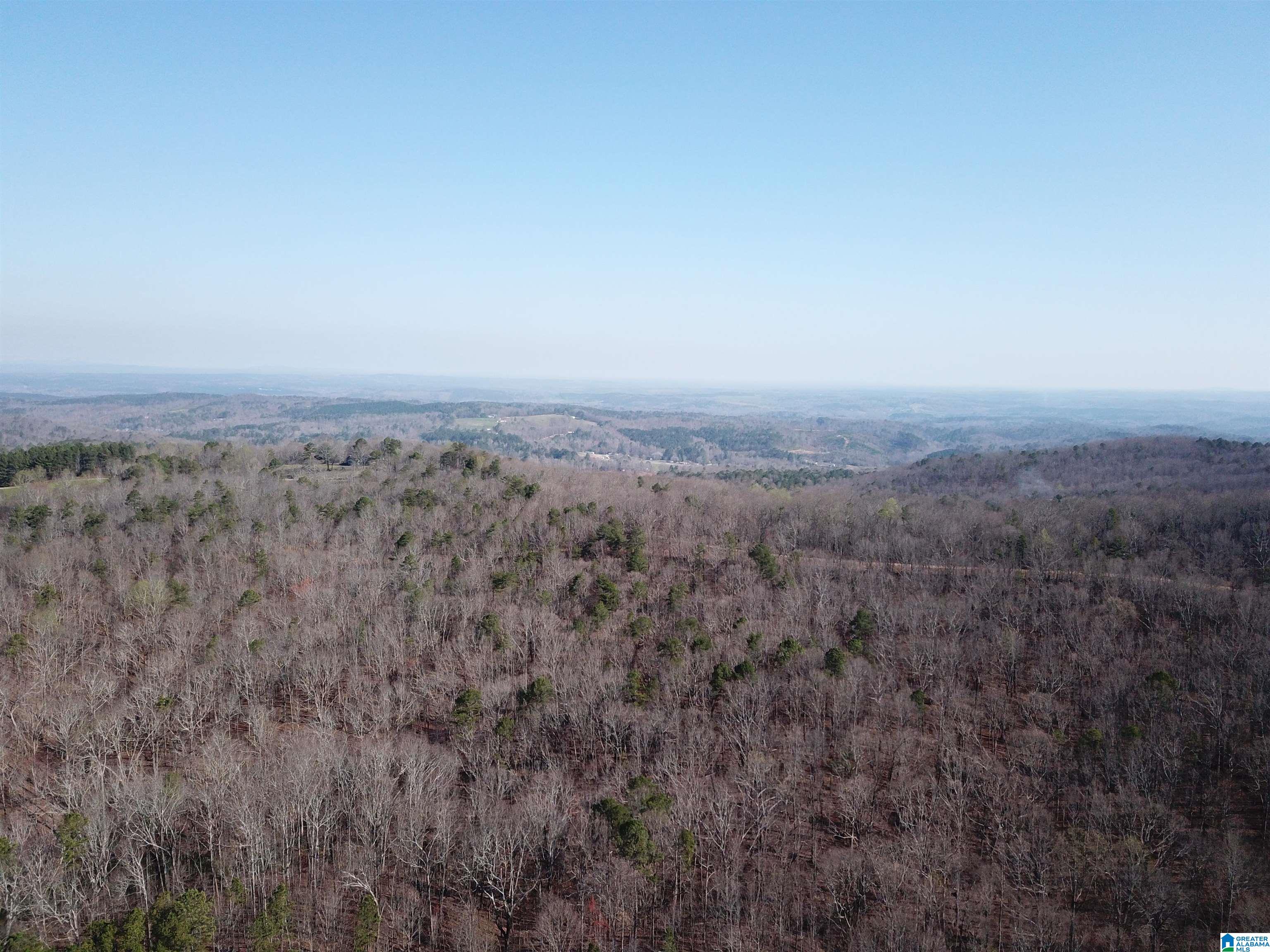 County Road 852 #1, HEFLIN, Alabama image 9