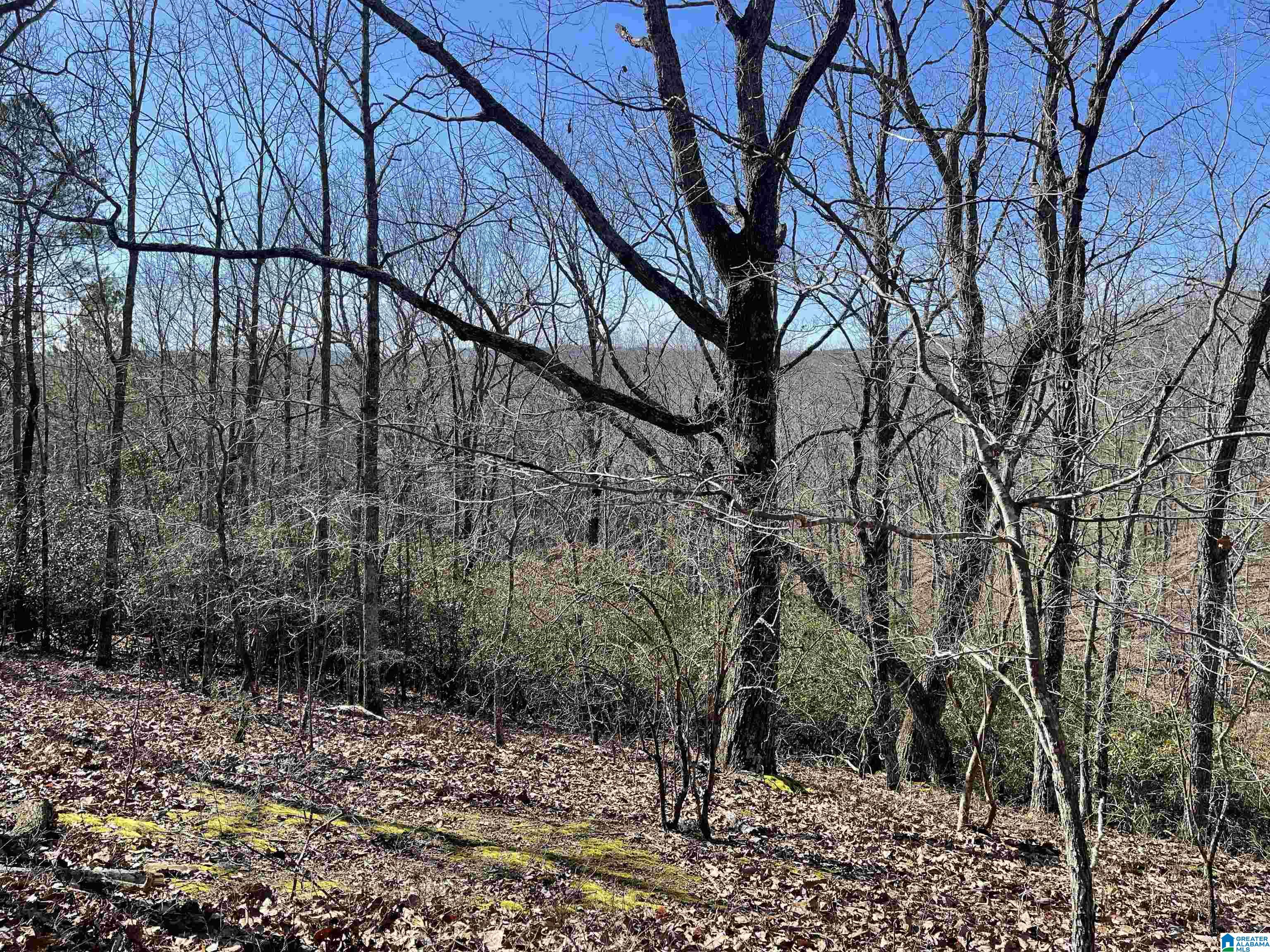 0 COUNTY ROAD 852