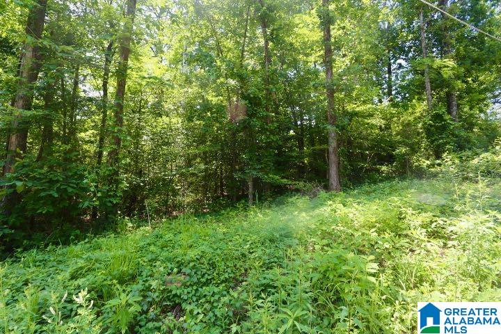 Homes for sale in Trussville, AL | 6417 Le Jeune Dr, Trussville, AL 35173 | MLS# 21387382