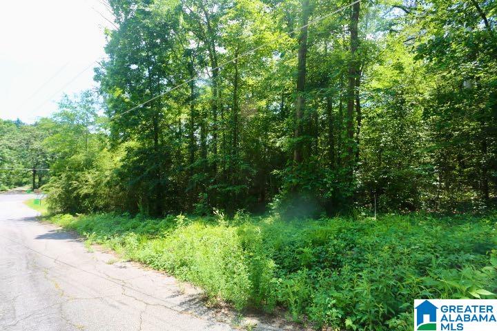 Homes for sale in Trussville, AL | 6417 Le Jeune Dr, Trussville, AL 35173 | MLS# 21387382