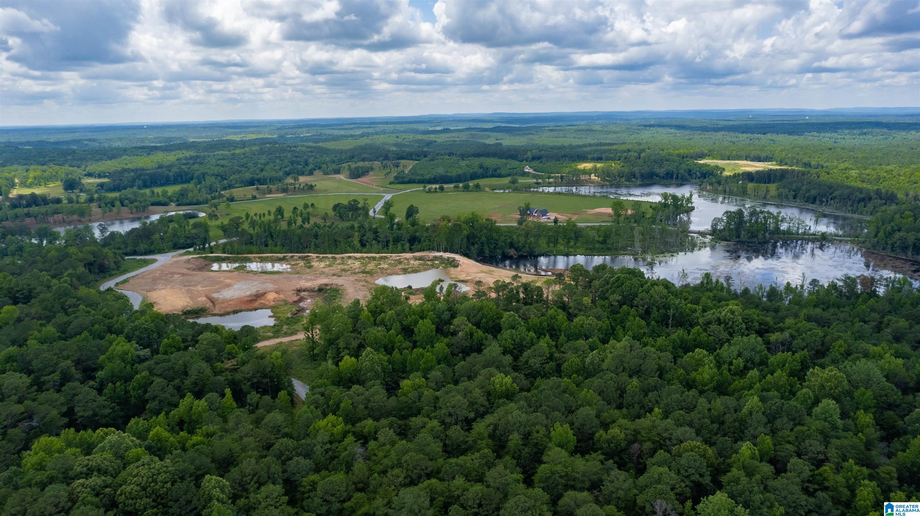 Homes for sale in Birmingham, AL | Lot 13 Ironwood Court, Birmingham, AL 35051 | MLS# 21387915