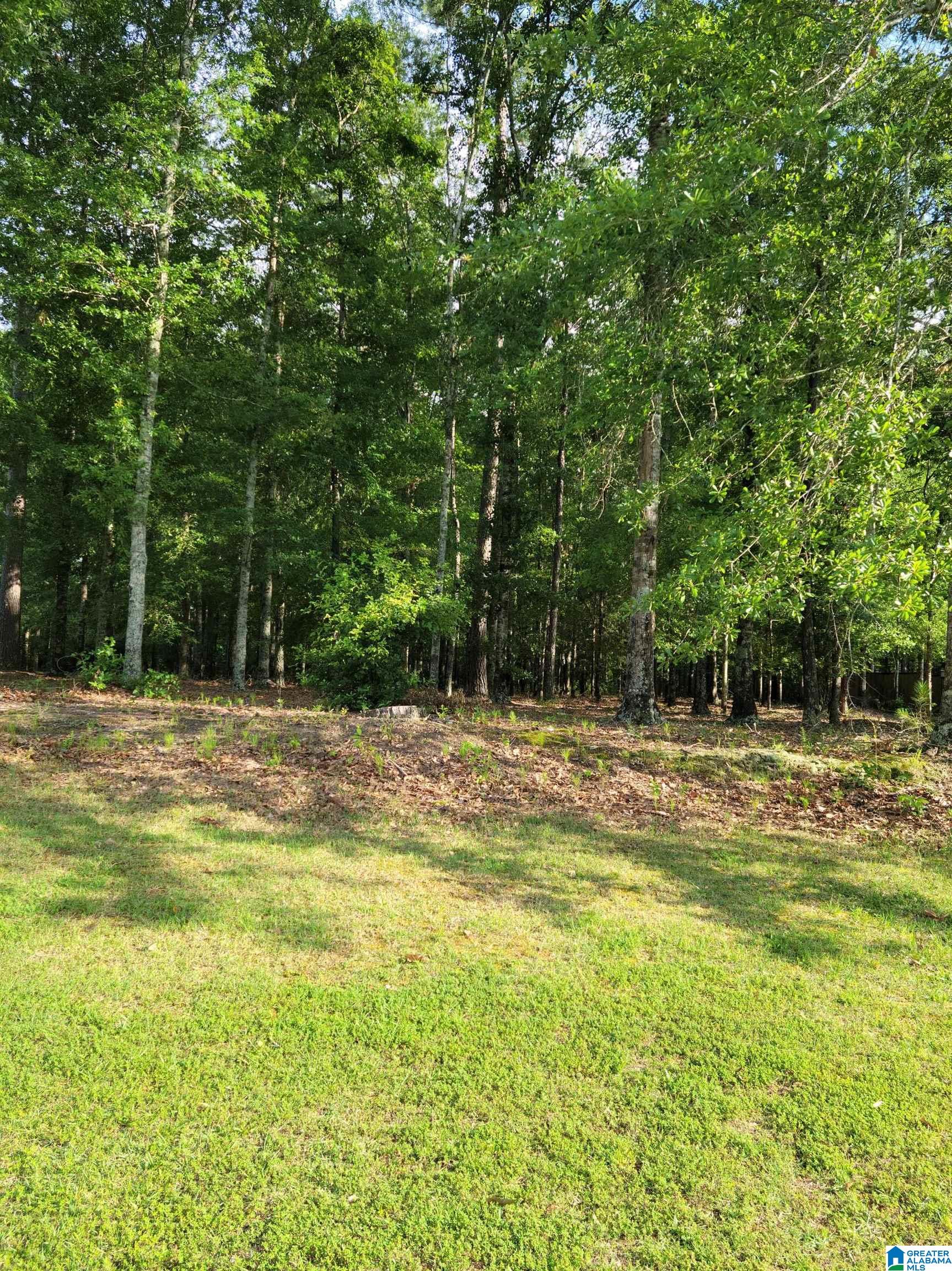 128 FAWN DRIVE