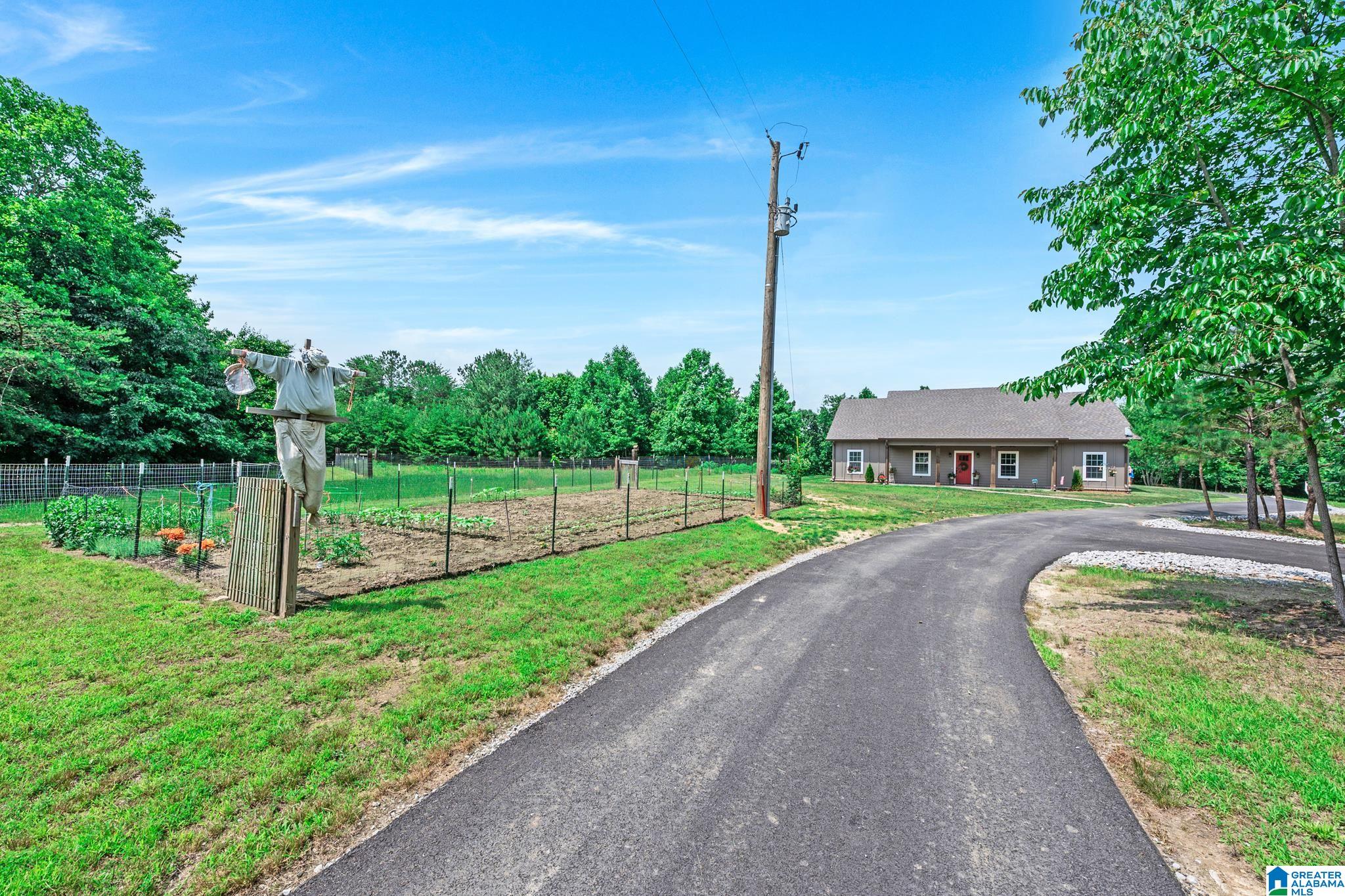 430 County Road 1202, VINEMONT, Alabama image 4