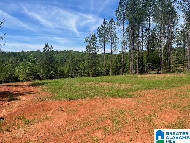 1051 Pate Road #3.64 AC., CRAGFORD, Alabama image 3