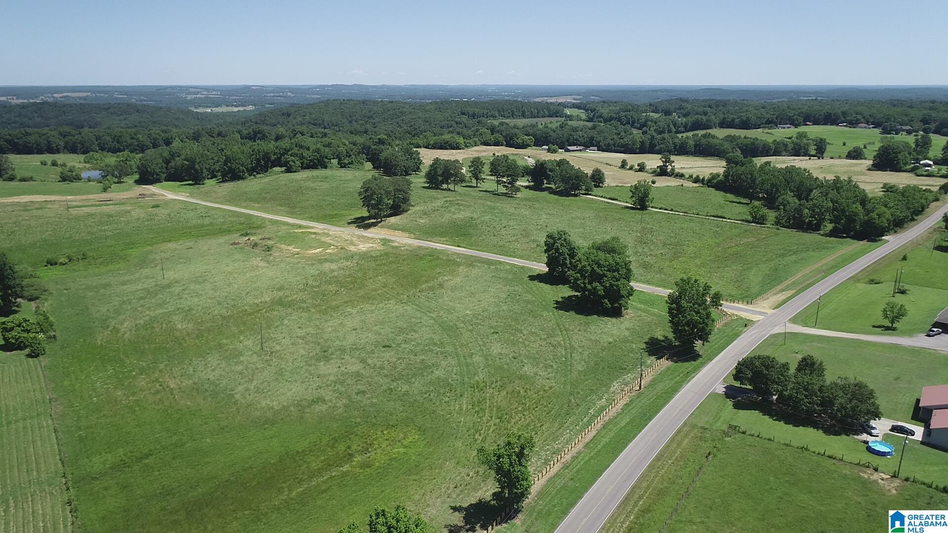 Highway 57 #TRACT 1, BLOUNTSVILLE, Alabama image 6