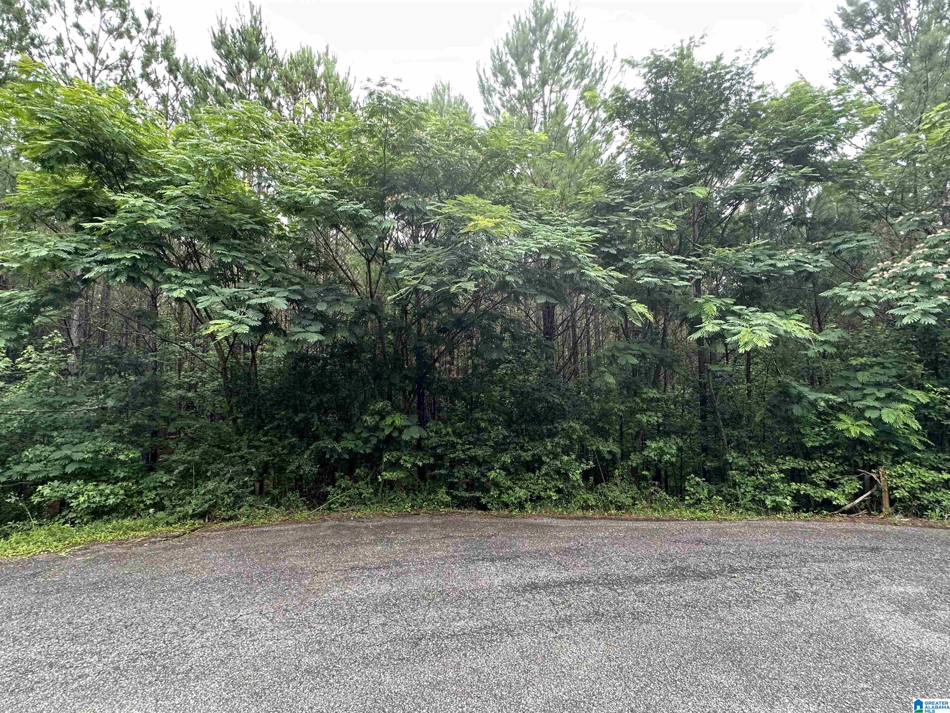 Homes for sale in Odenville, AL | 300 Virginia Way, Odenville, AL 35004 | MLS# 21389746