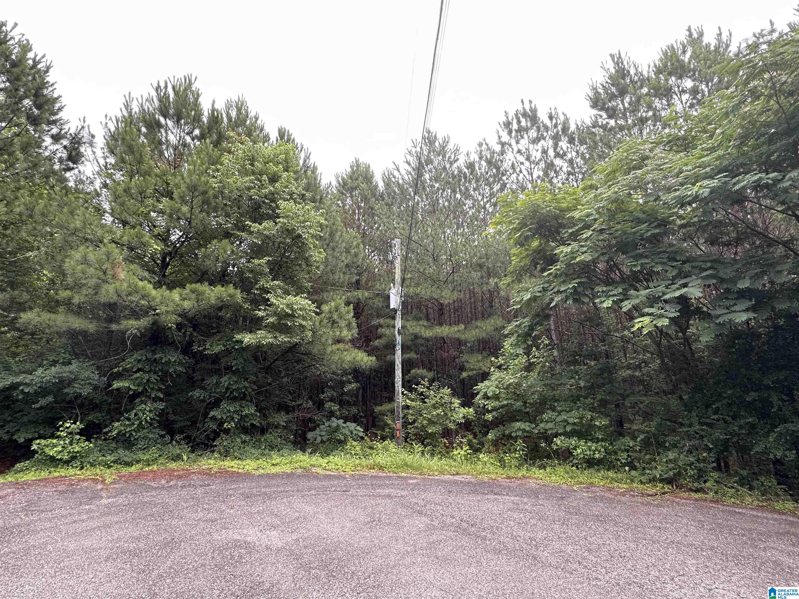 Homes for sale in Odenville, AL | 300 Virginia Way, Odenville, AL 35004 | MLS# 21389746