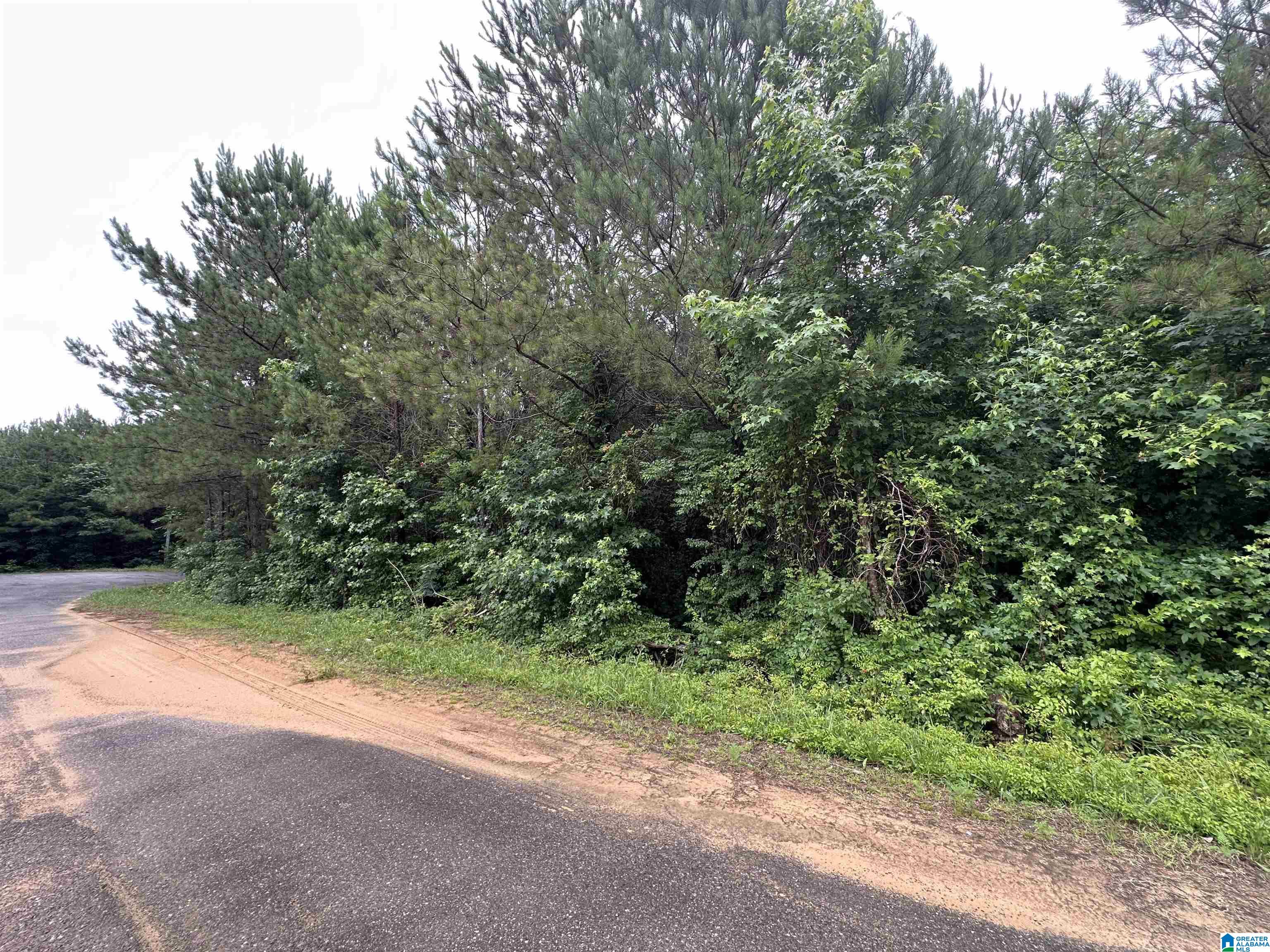 Homes for sale in Odenville, AL | 280 Virginia Way, Odenville, AL 35004 | MLS# 21389749