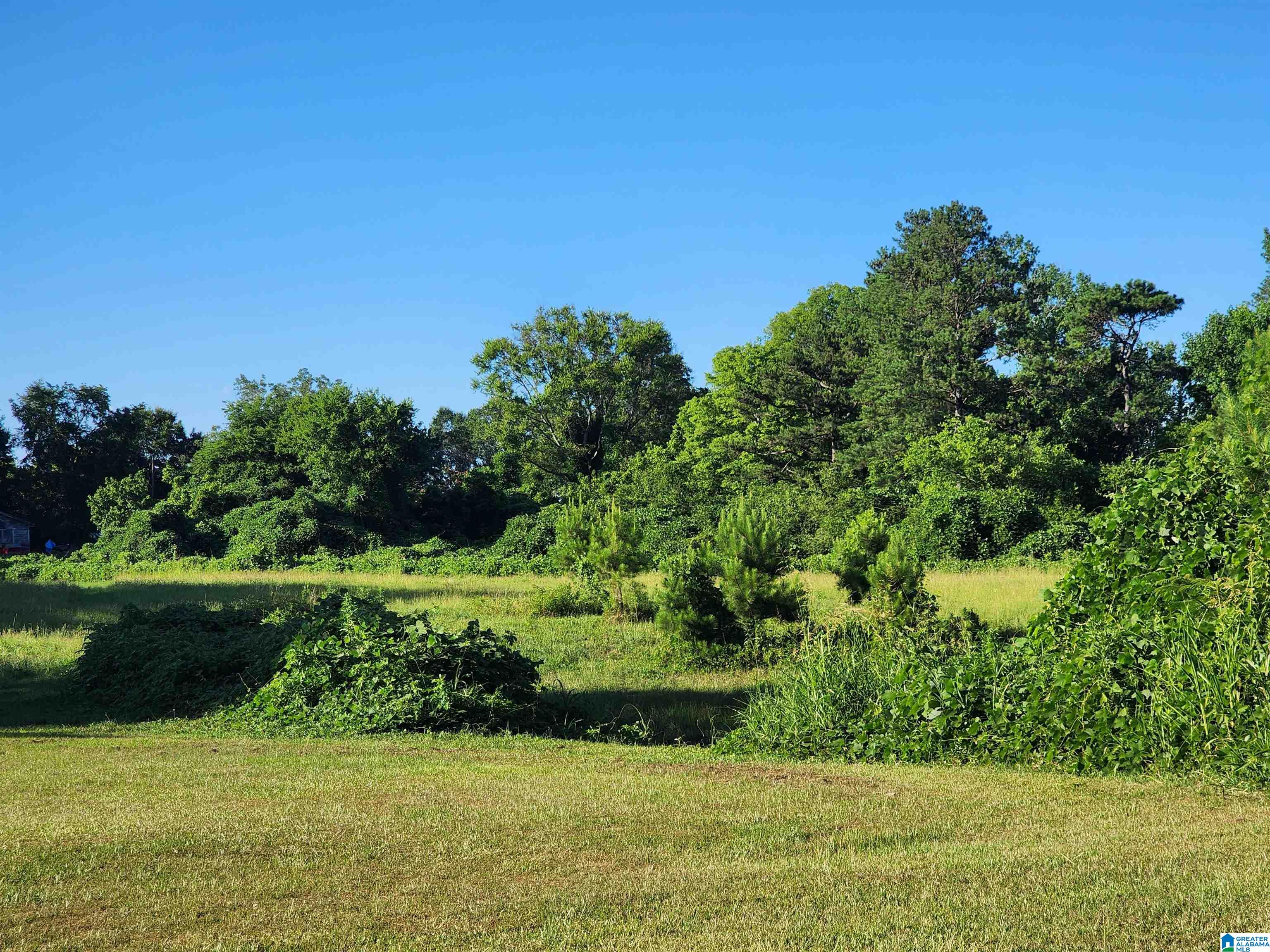 Homes for sale in Warrior, AL | 9346 Warrior Kimberly Road, Warrior, AL 35180 | MLS# 21390017