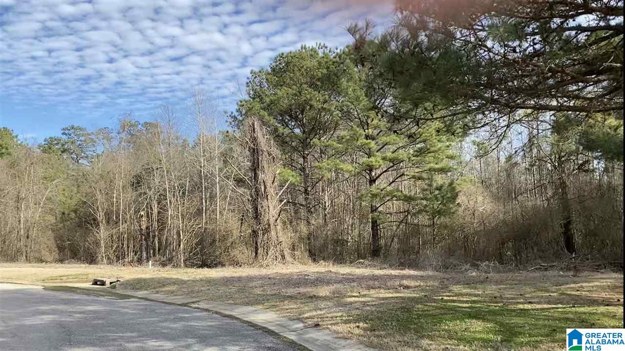 Lot 5 County Road 70 #5, THORSBY, Alabama image 8